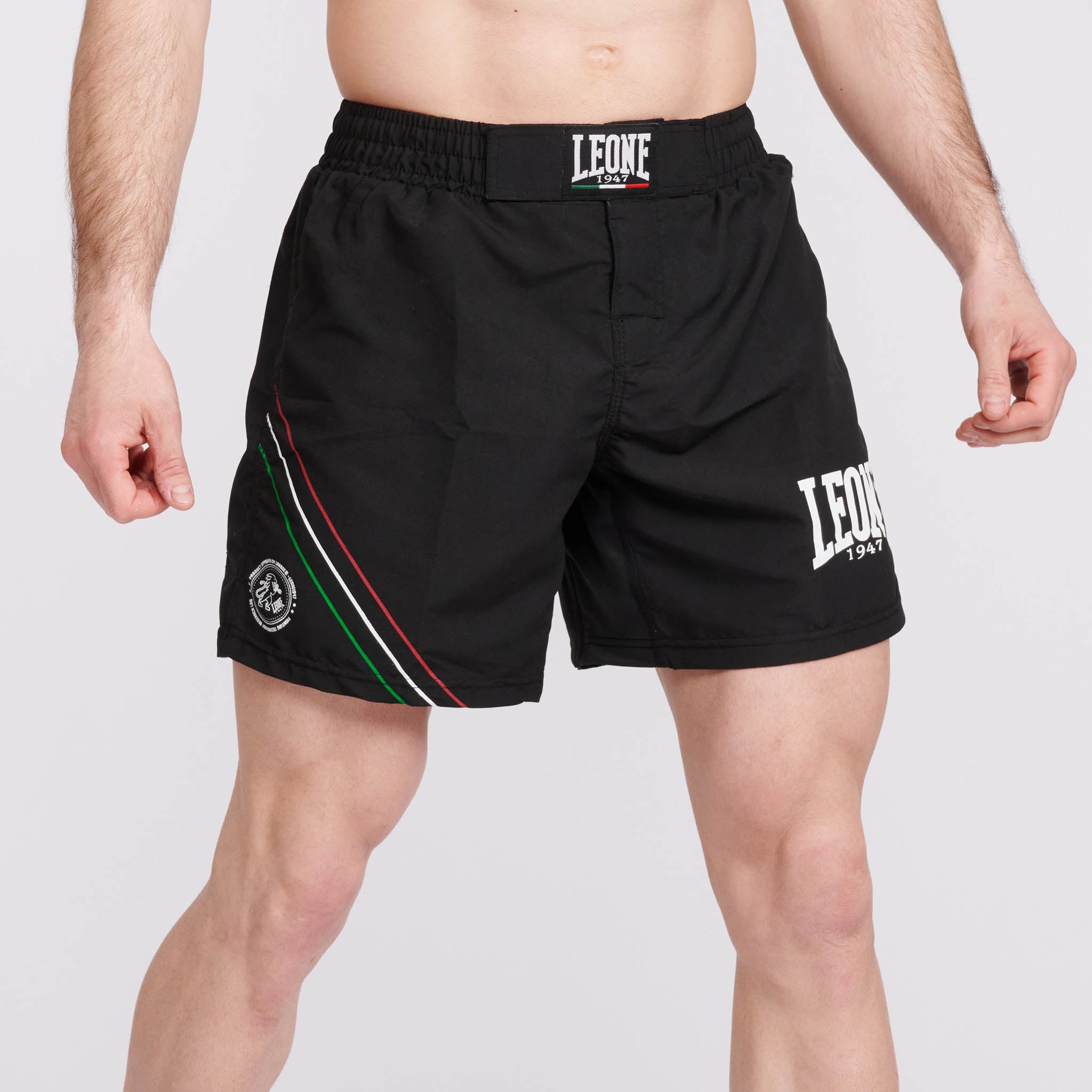 FLAG KICK-MMA SHORTS