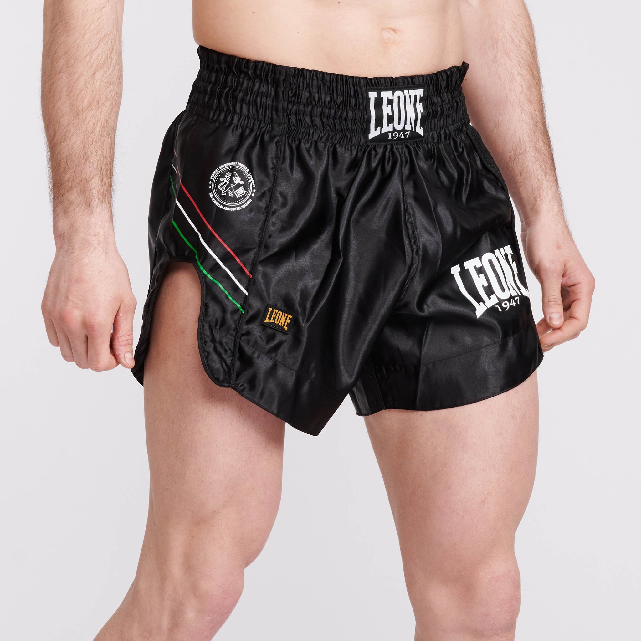 FLAG KICK-THAI SHORTS