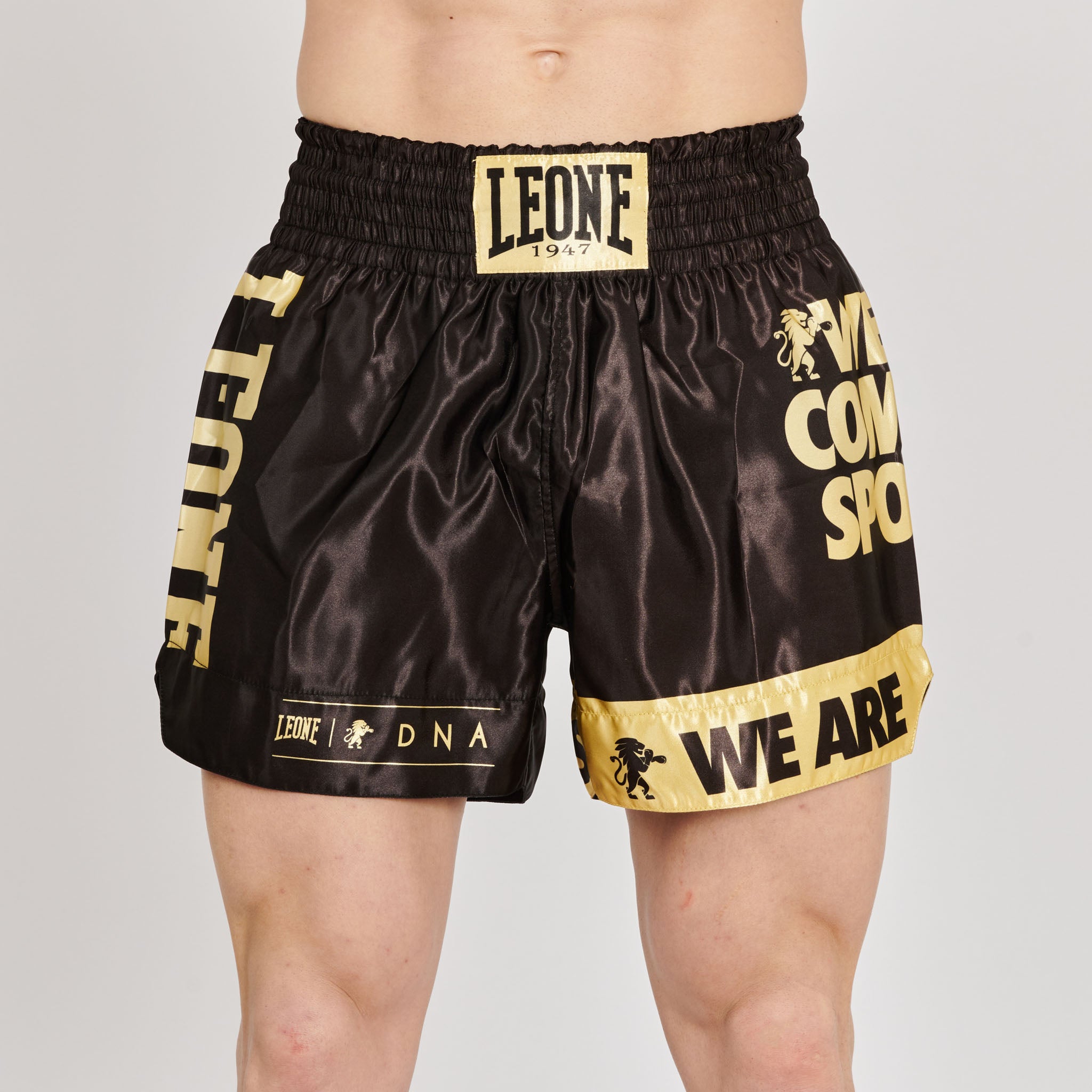 DNA KICK-THAI SHORTS