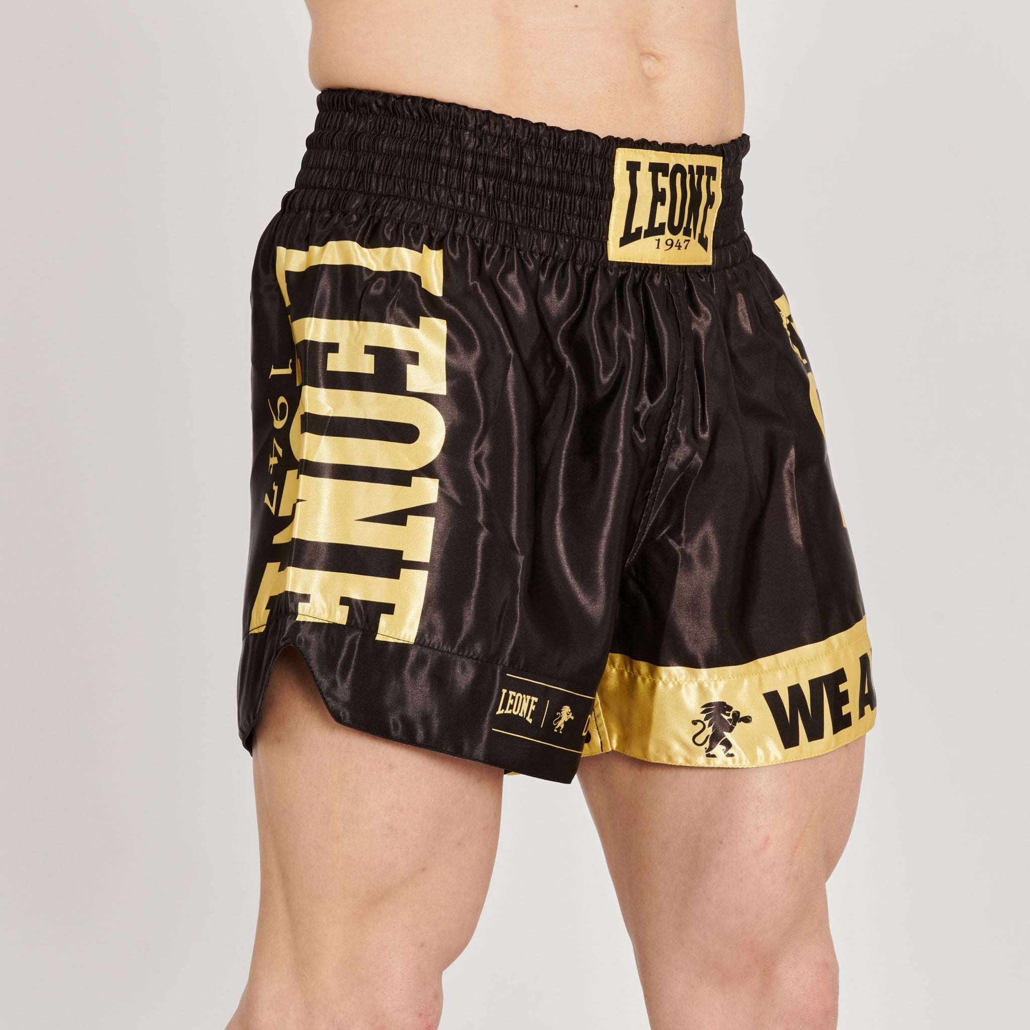 DNA KICK-THAI SHORTS