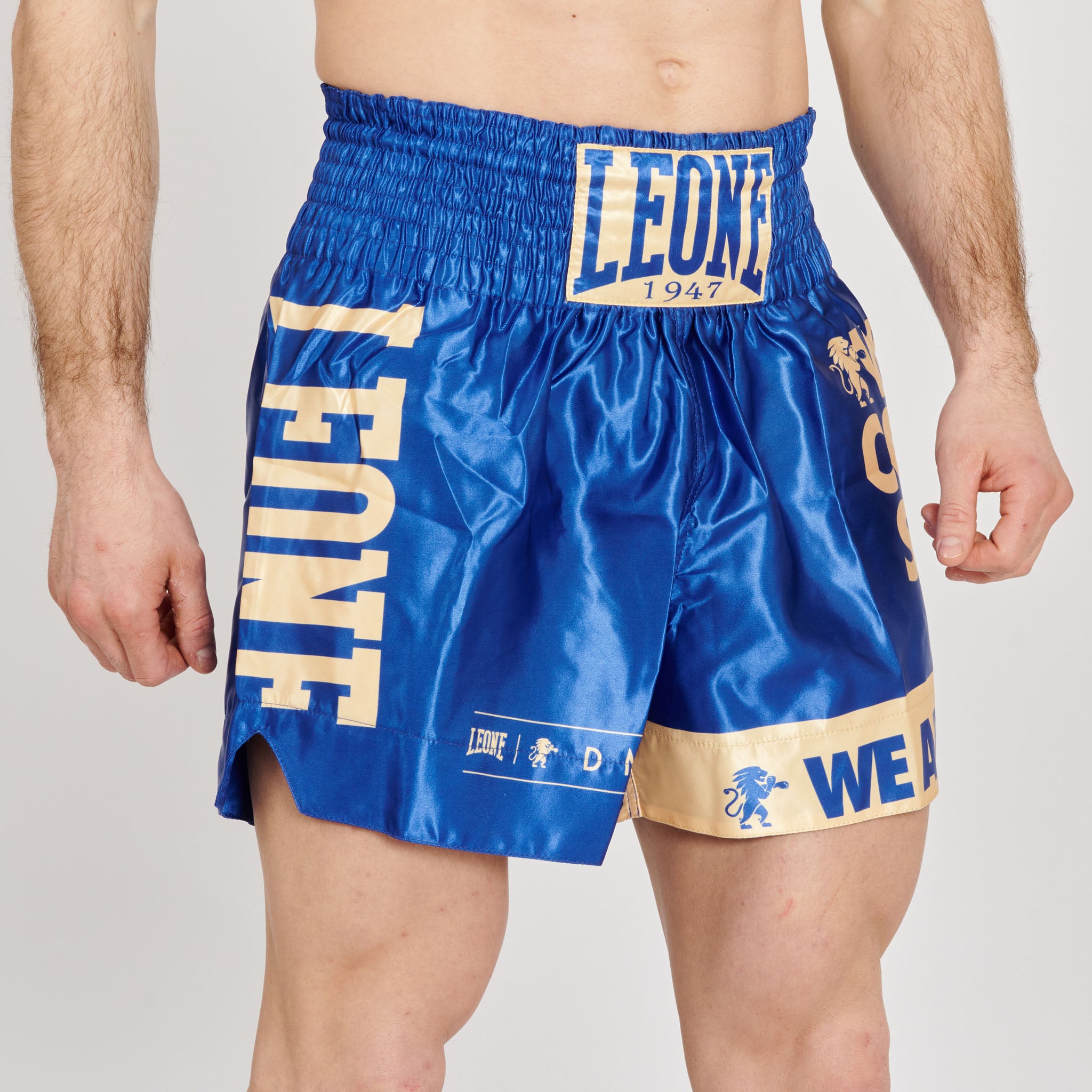 DNA KICK-THAI SHORTS