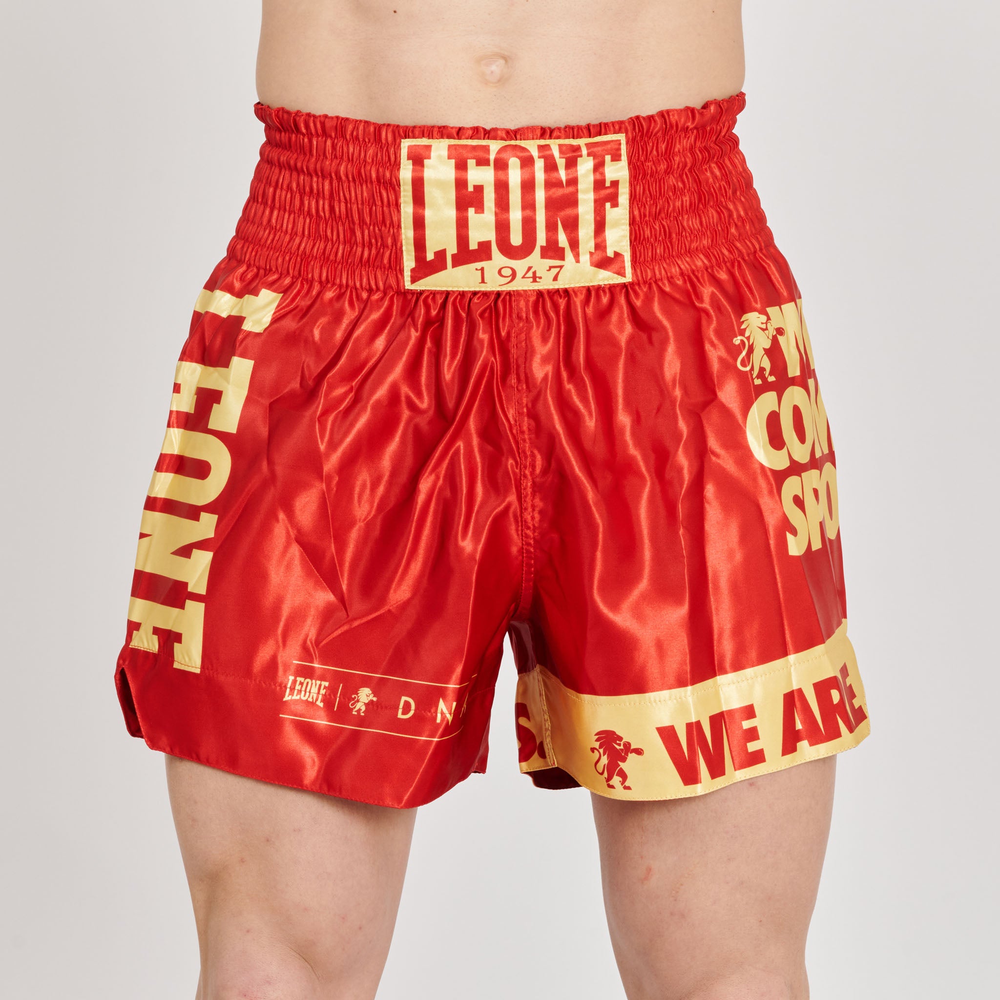 DNA KICK-THAI SHORTS