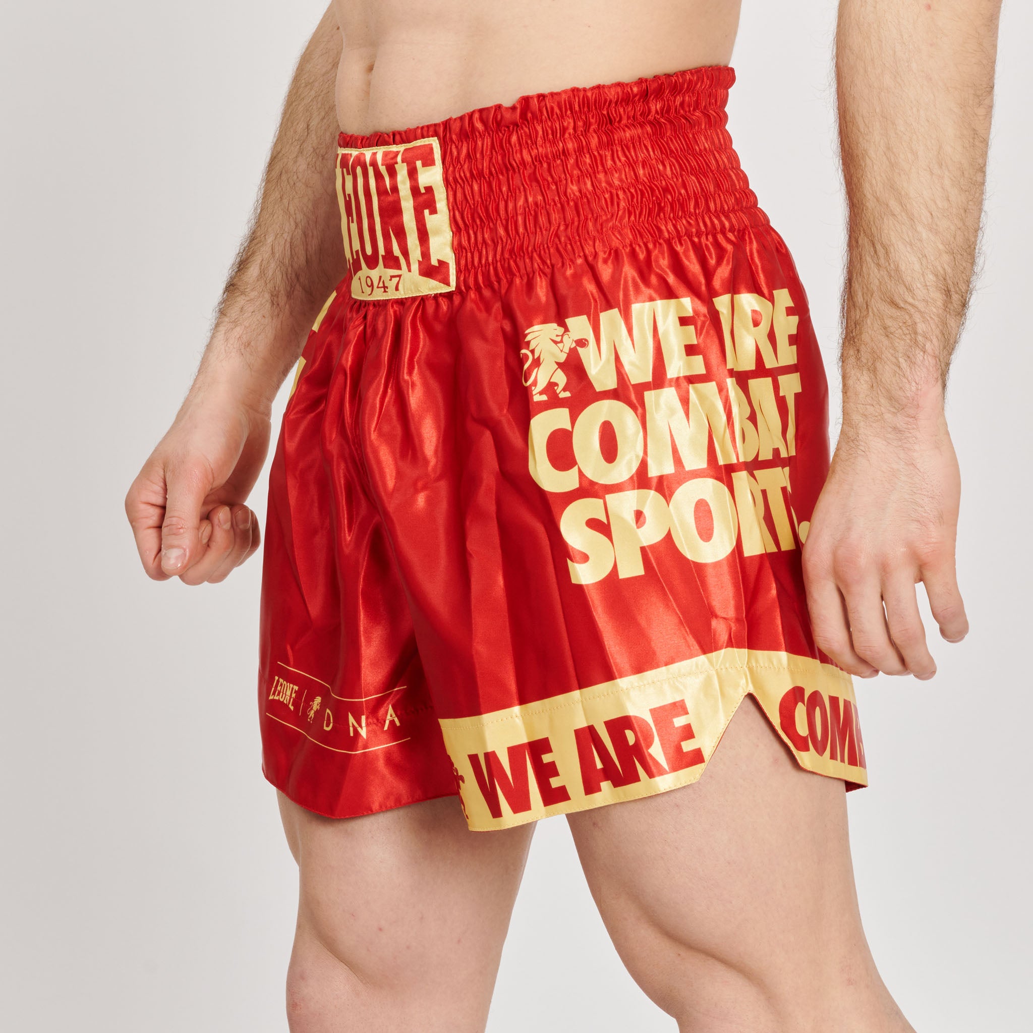 DNA KICK-THAI SHORTS