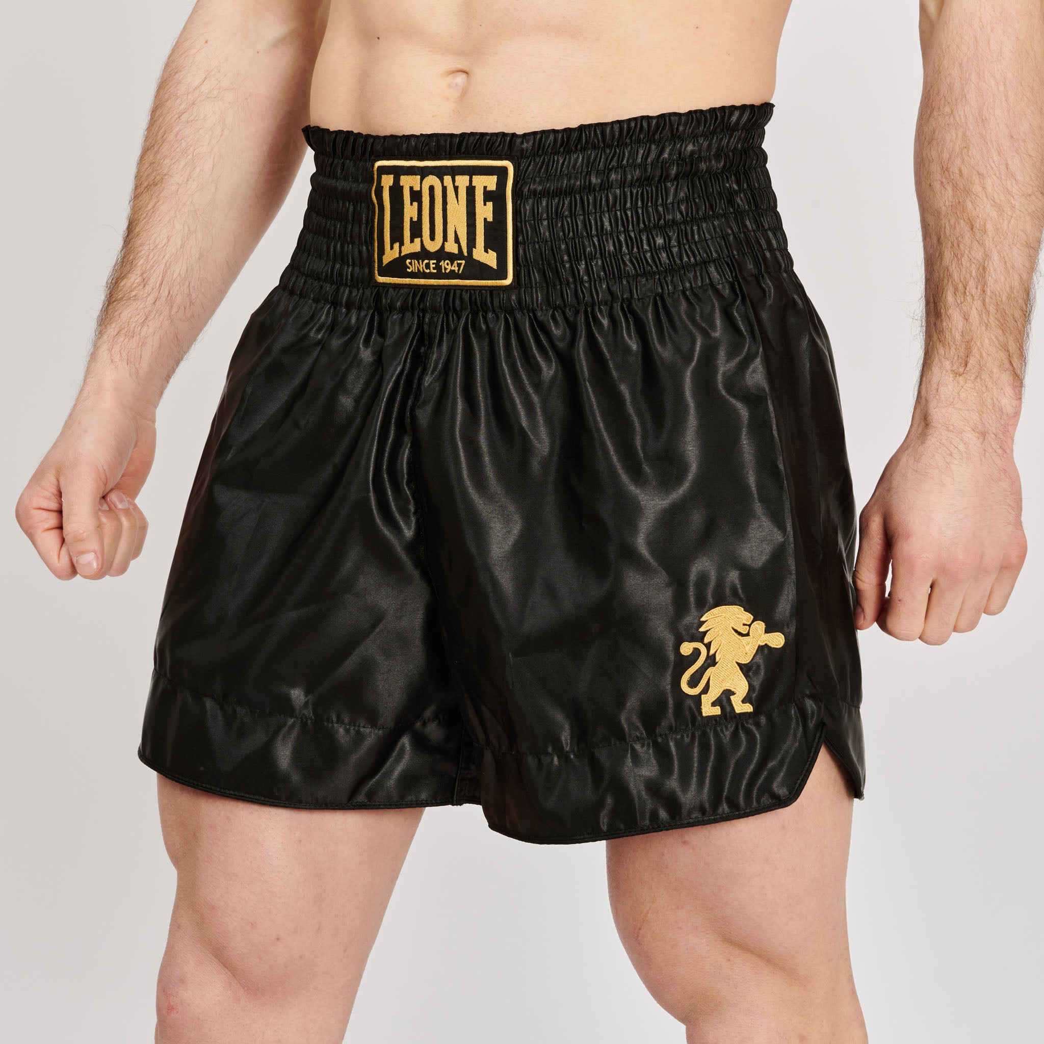 BASIC 2 KICK SHORTS
