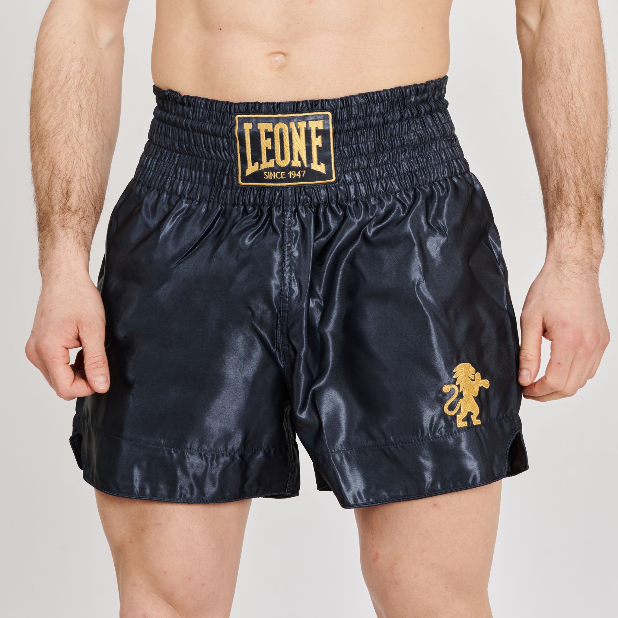 BASIC 2 KICK SHORTS
