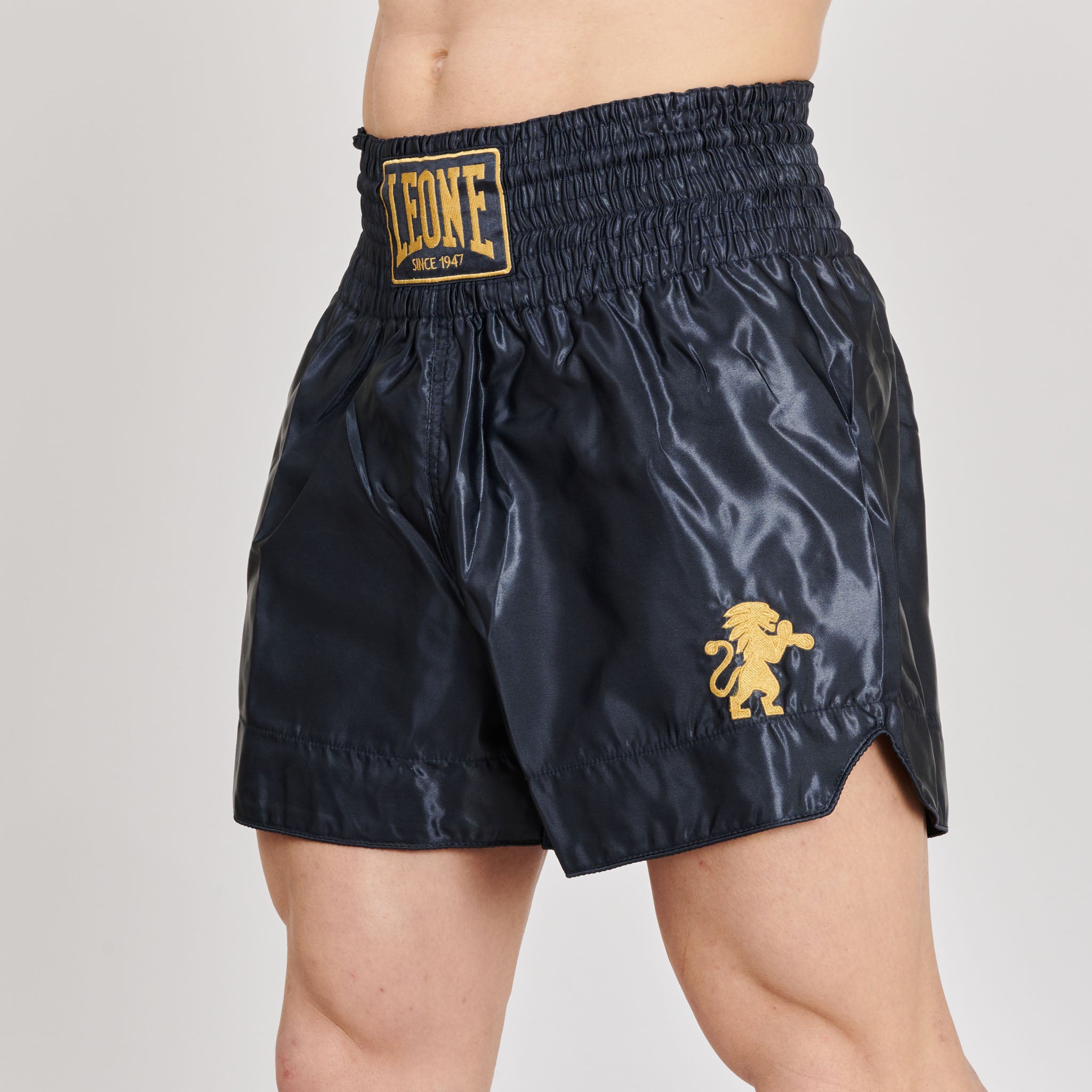 BASIC 2 KICK SHORTS