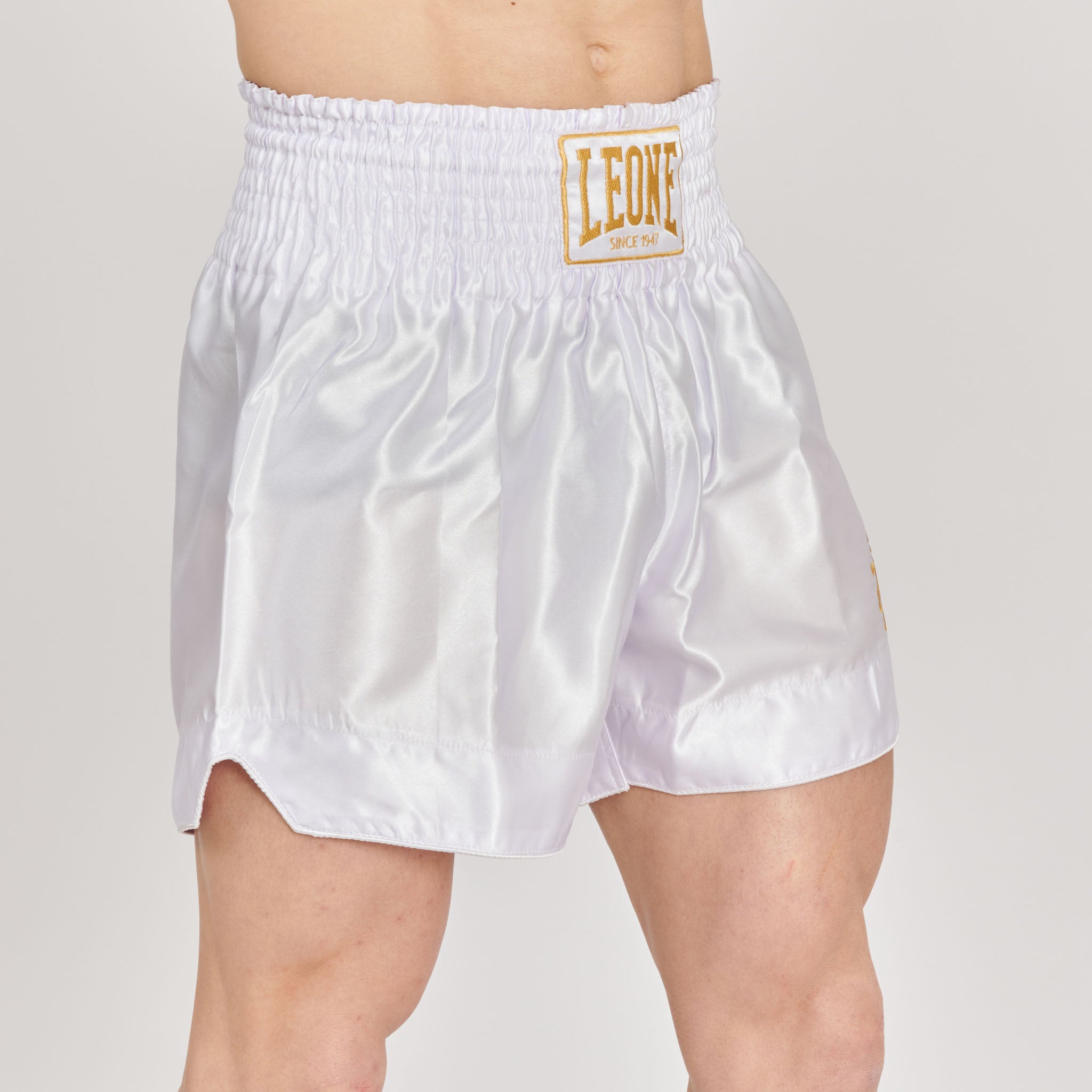 BASIC 2 KICK SHORTS