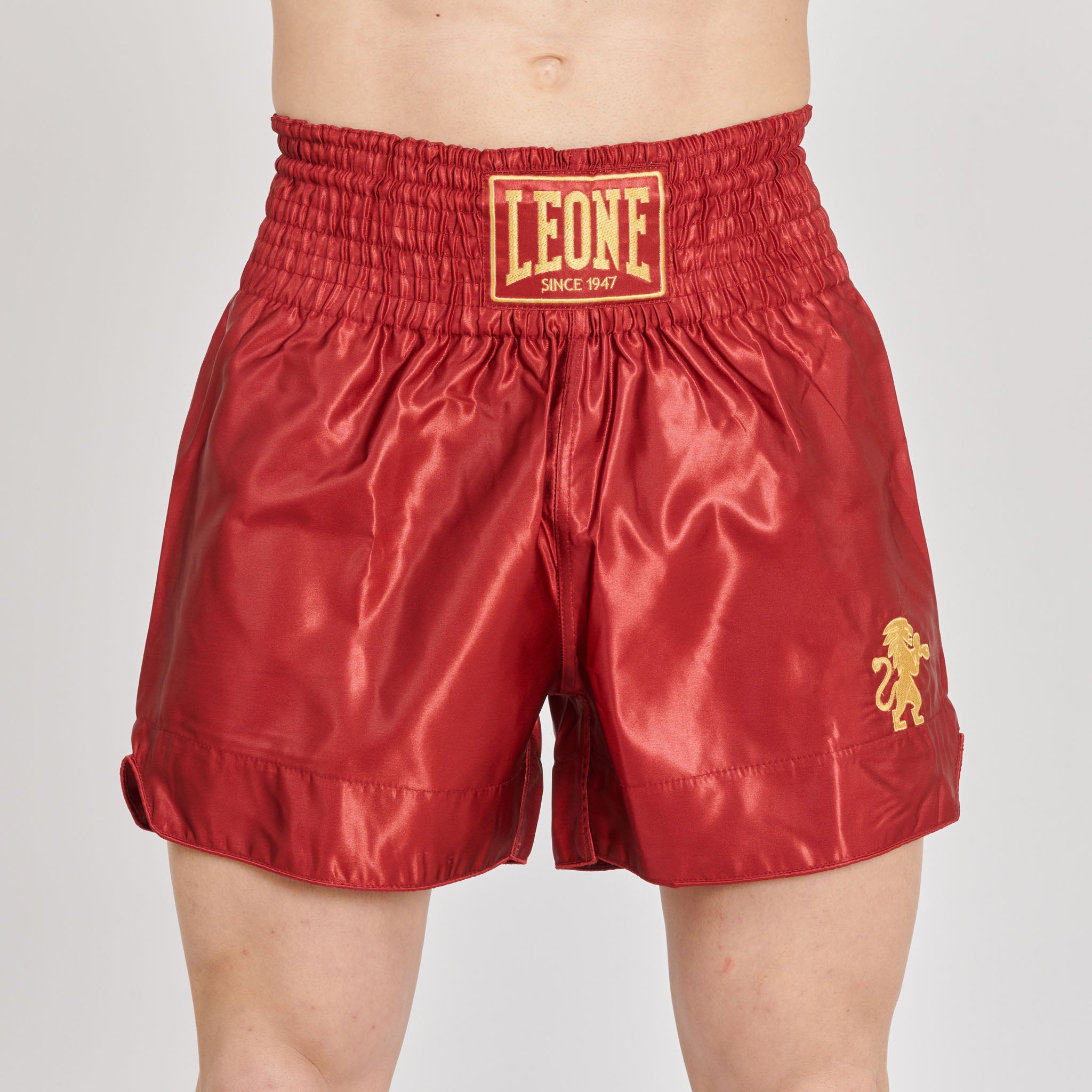 BASIC 2 KICK SHORTS