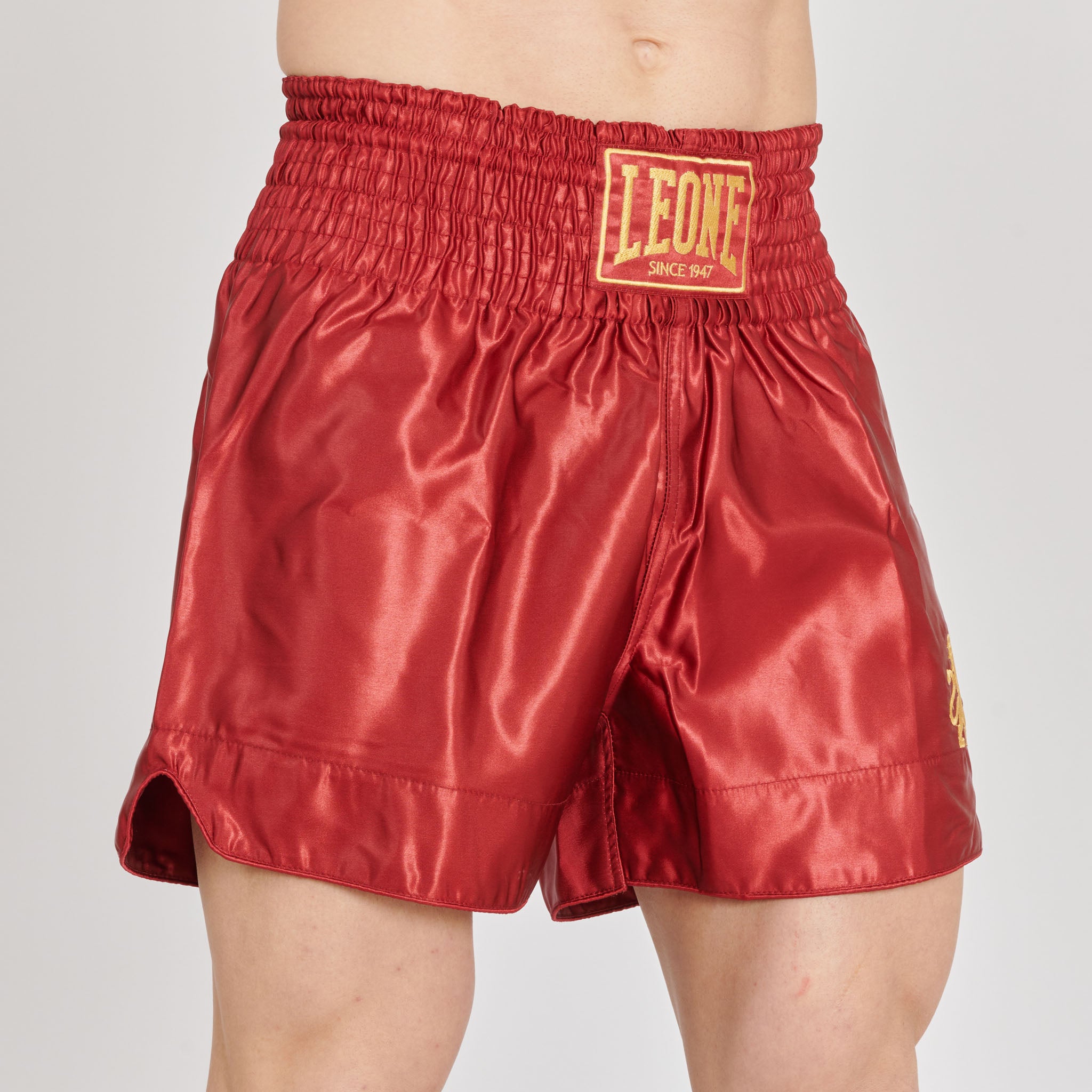 BASIC 2 KICK SHORTS