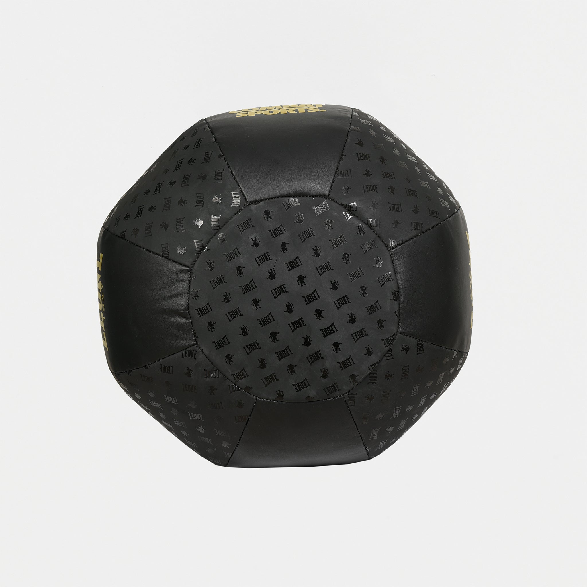 DNA PUNCHING BAG 27LBS