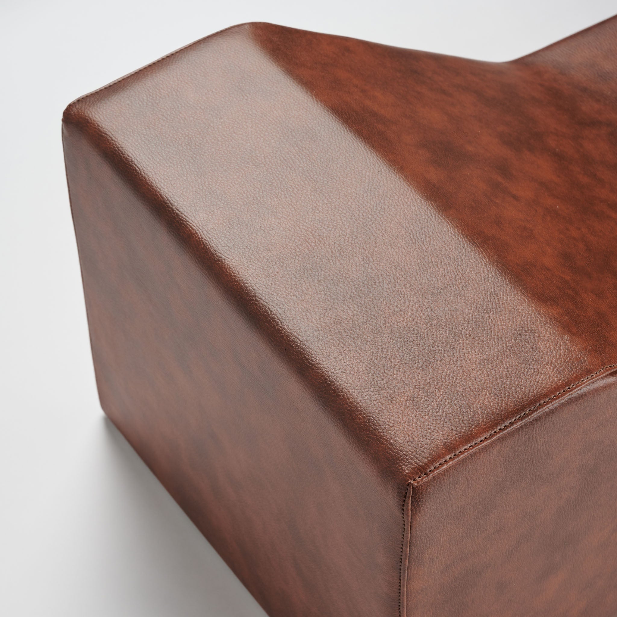 ATENA VINTAGE WALL MOUNT TRAINING BAG