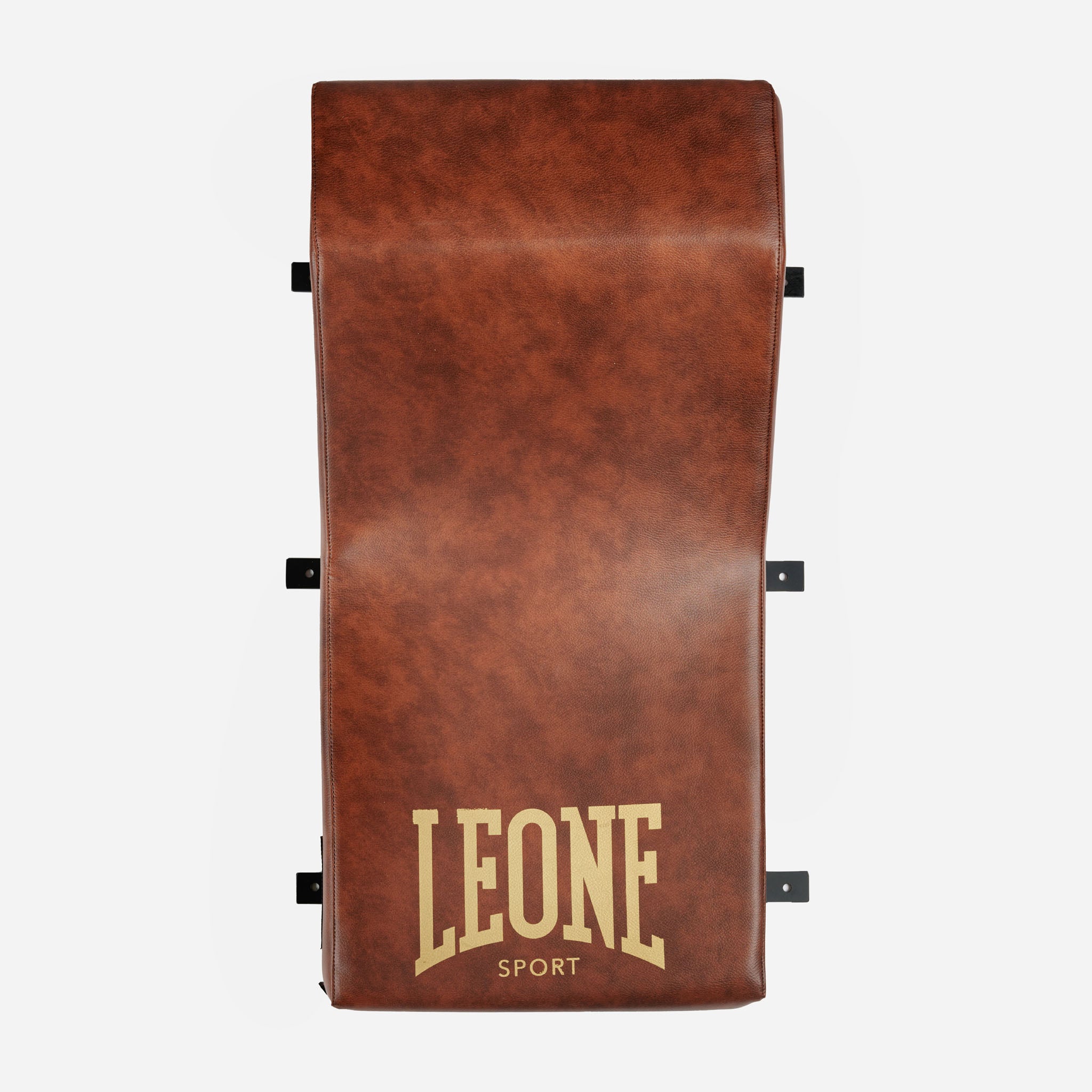 ATENA VINTAGE WALL MOUNT TRAINING BAG