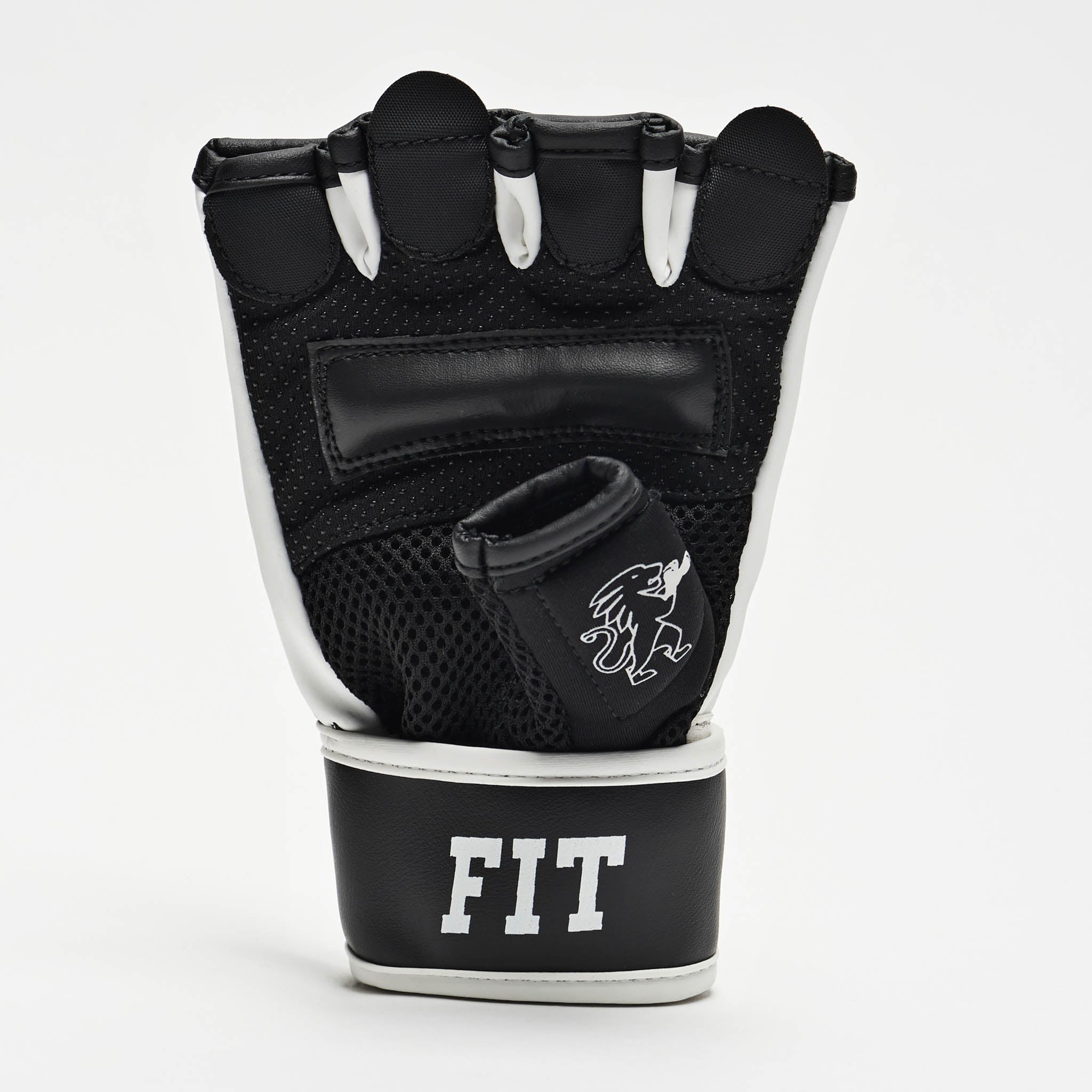 FIT BOXING GLOVES