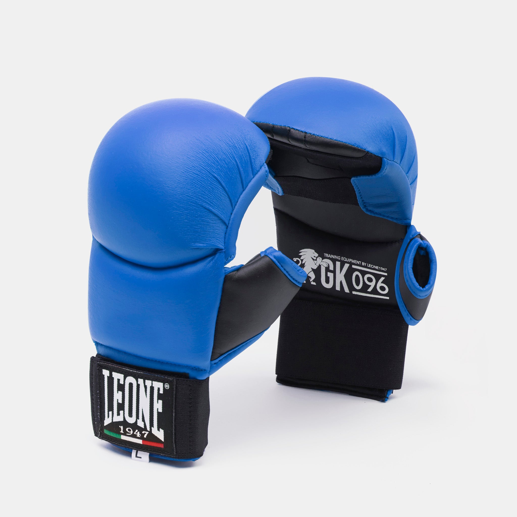 FIT/KARATE GLOVES