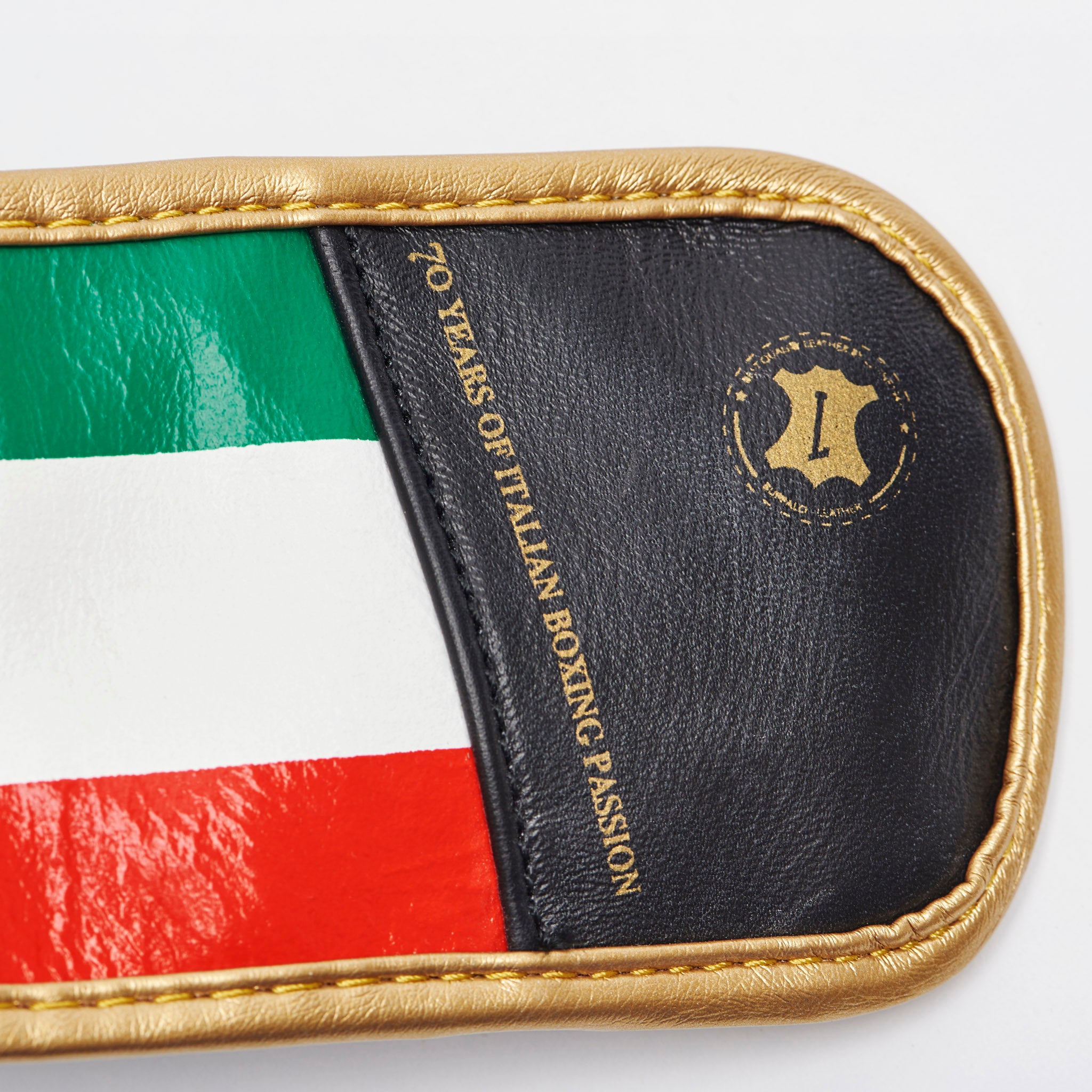 ITALY BOXING GLOVES