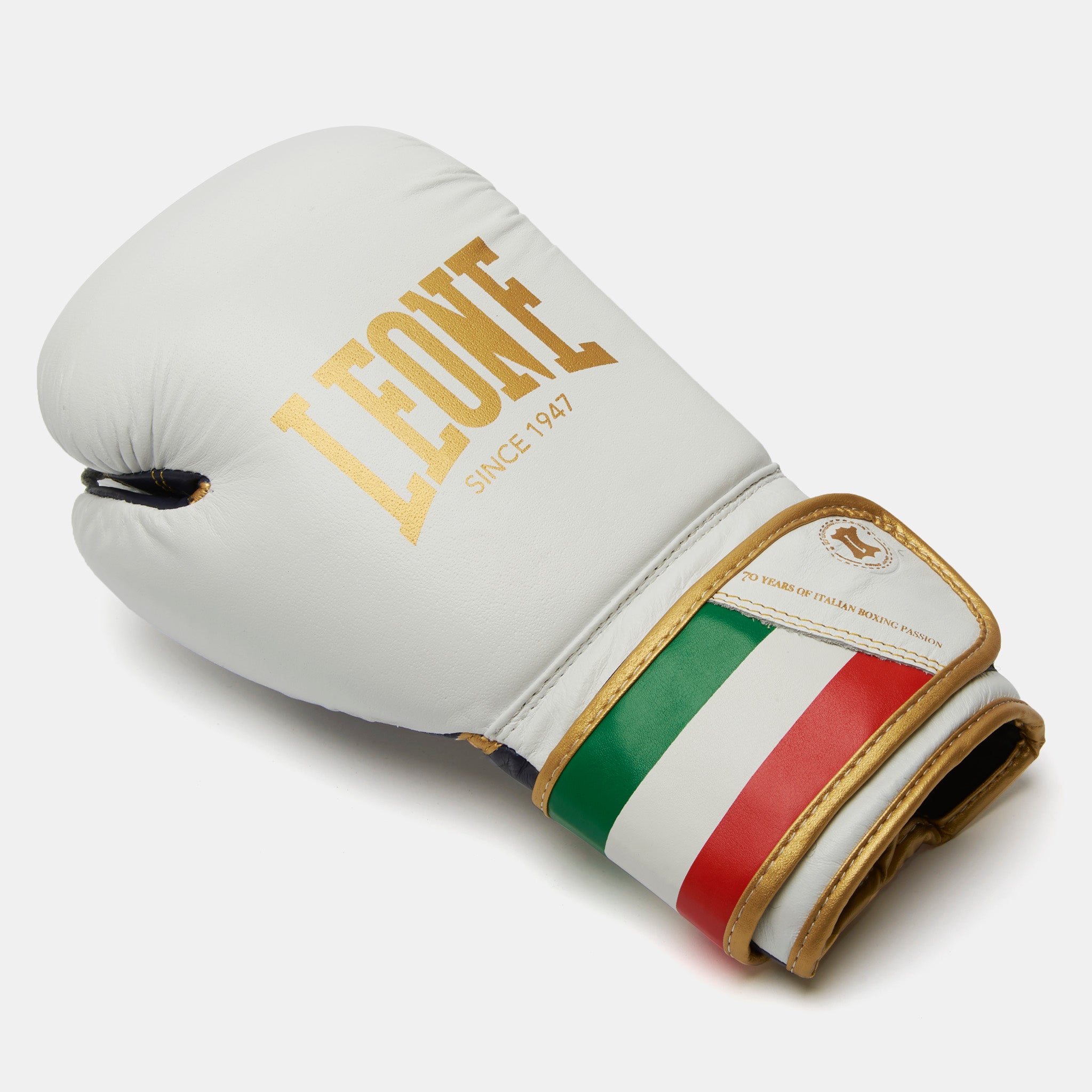 ITALY BOXING GLOVES