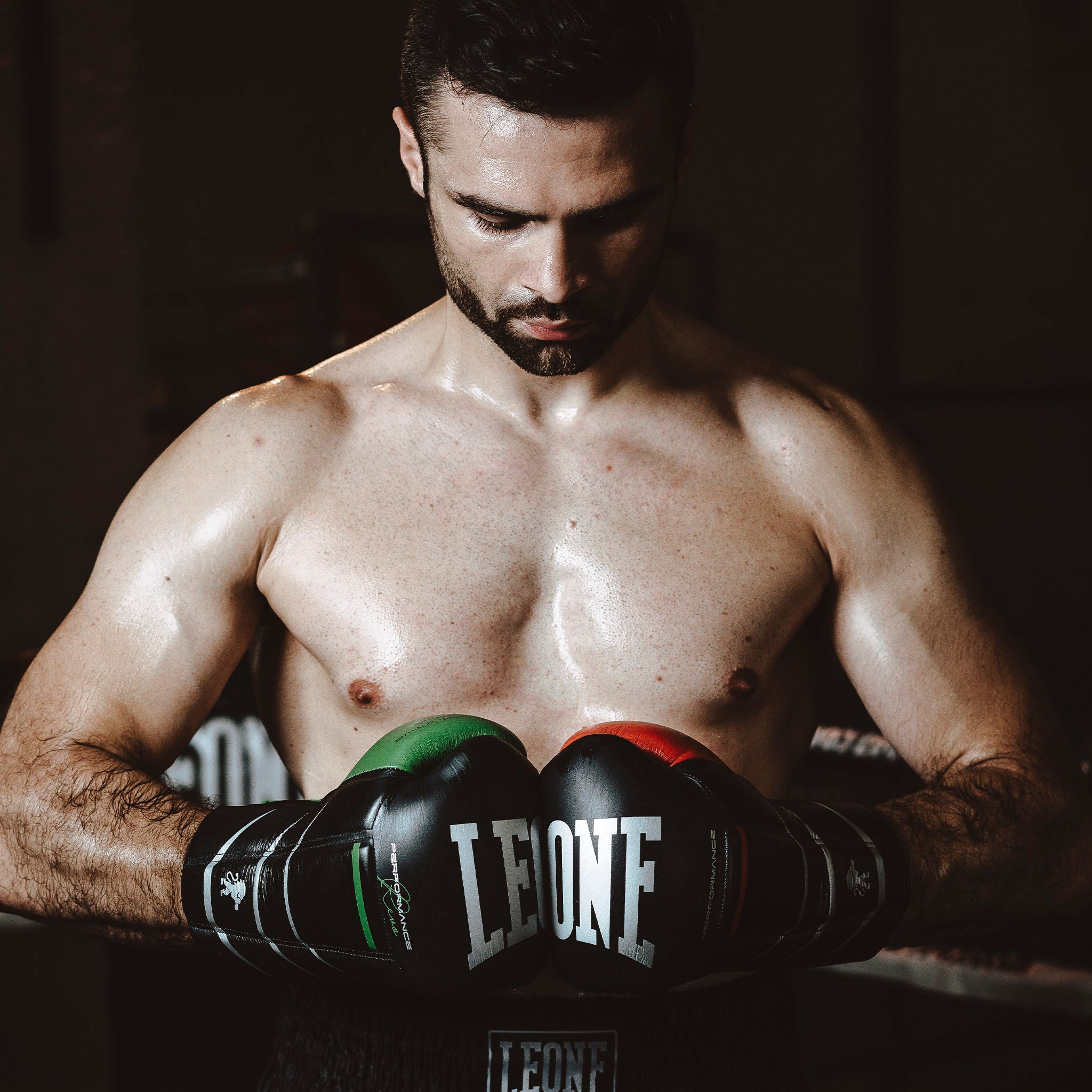 REVO PERFORMANCE BOXING GLOVES