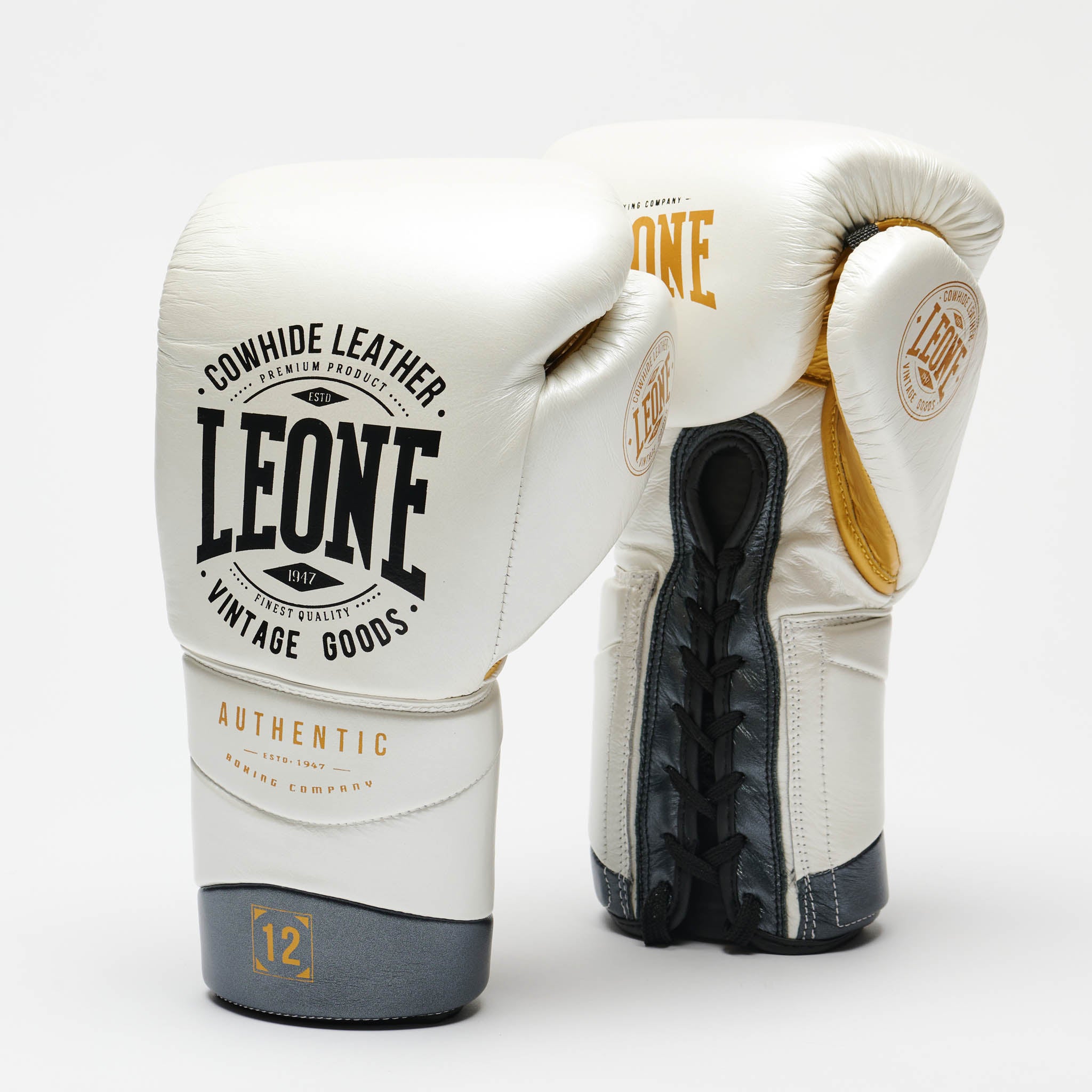 AUTHENTIC 2 BOXING GLOVES