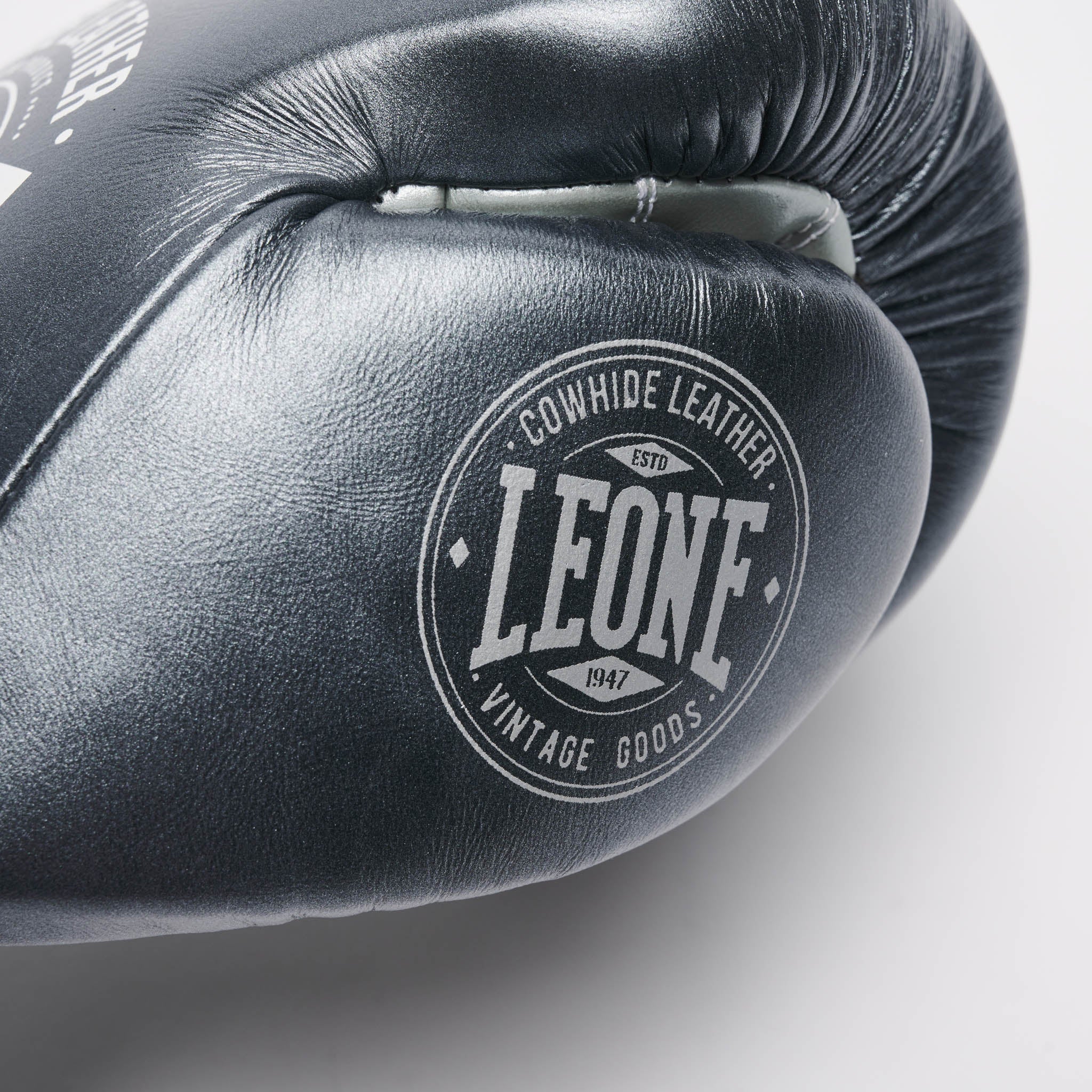 BOXING GLOVES AUTHENTIC 2