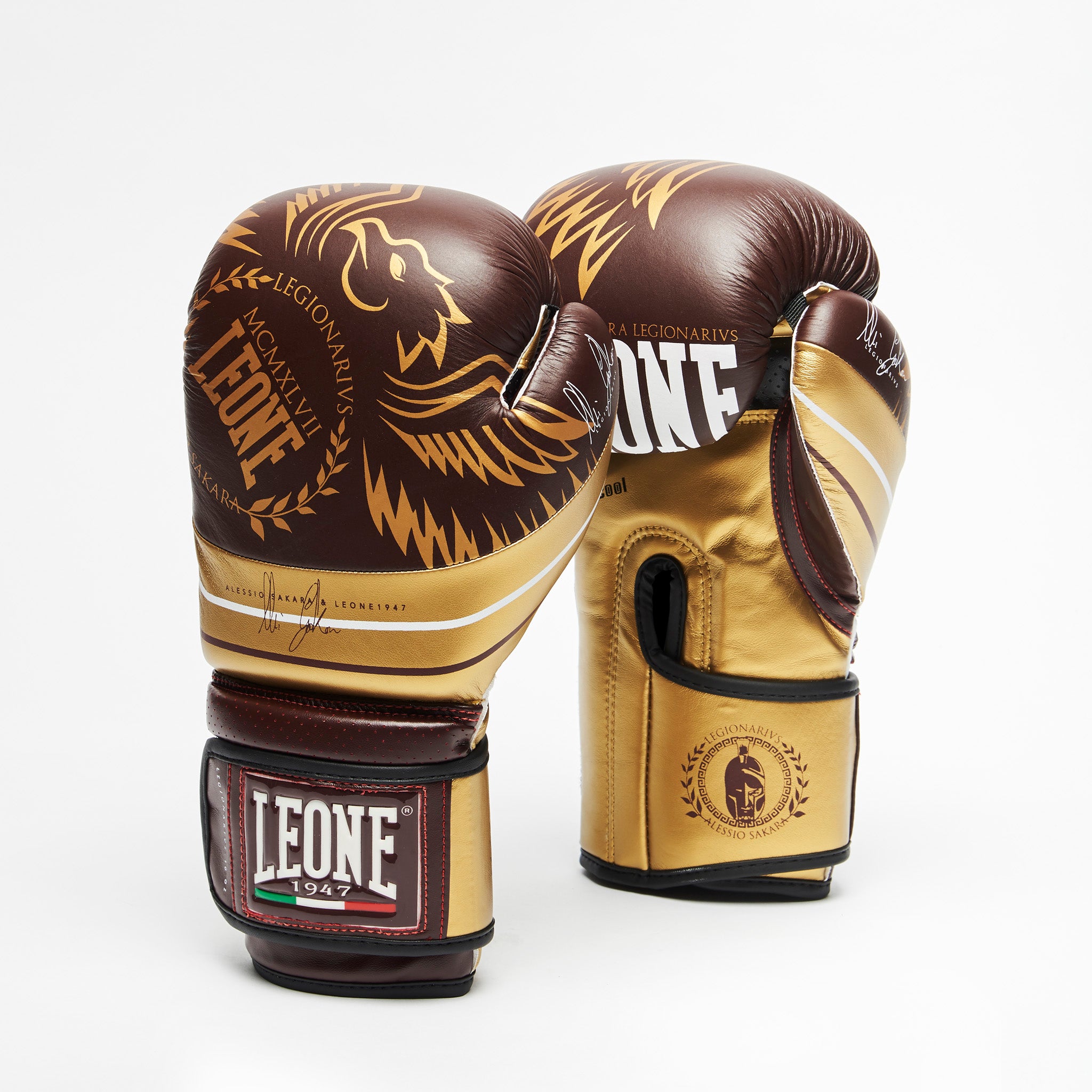LEGIONARIVS BOXING GLOVES