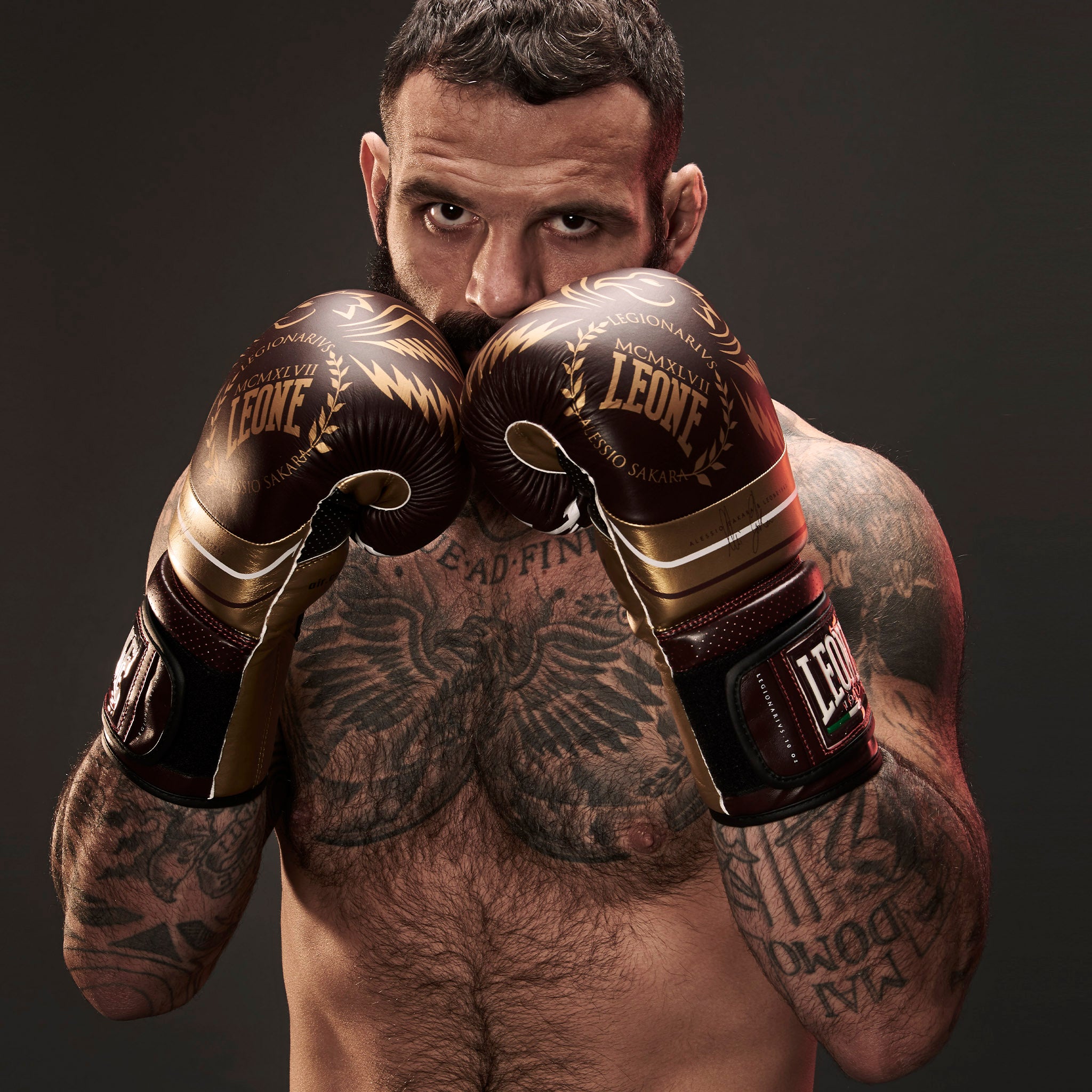 LEGIONARIVS BOXING GLOVES