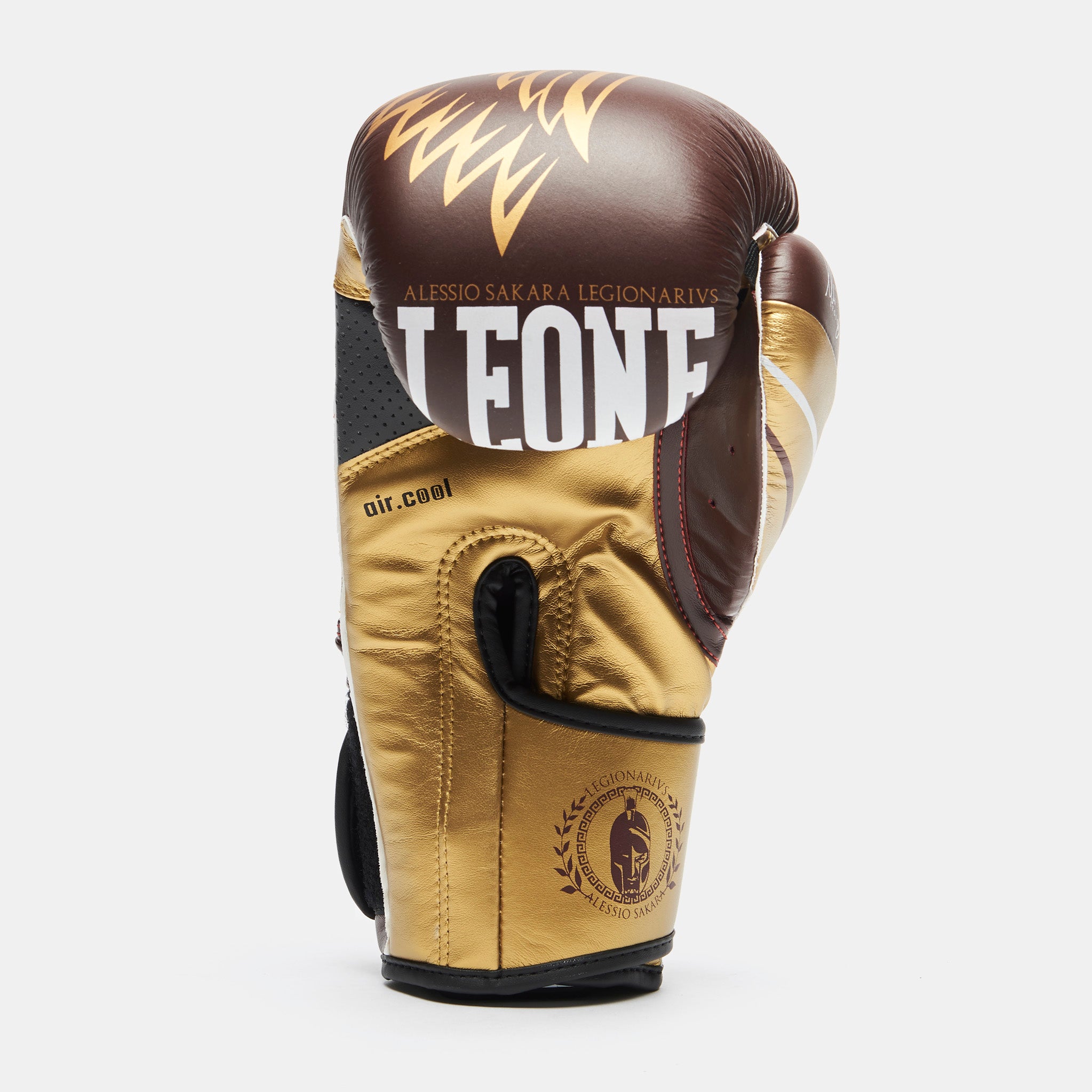 LEGIONARIVS BOXING GLOVES