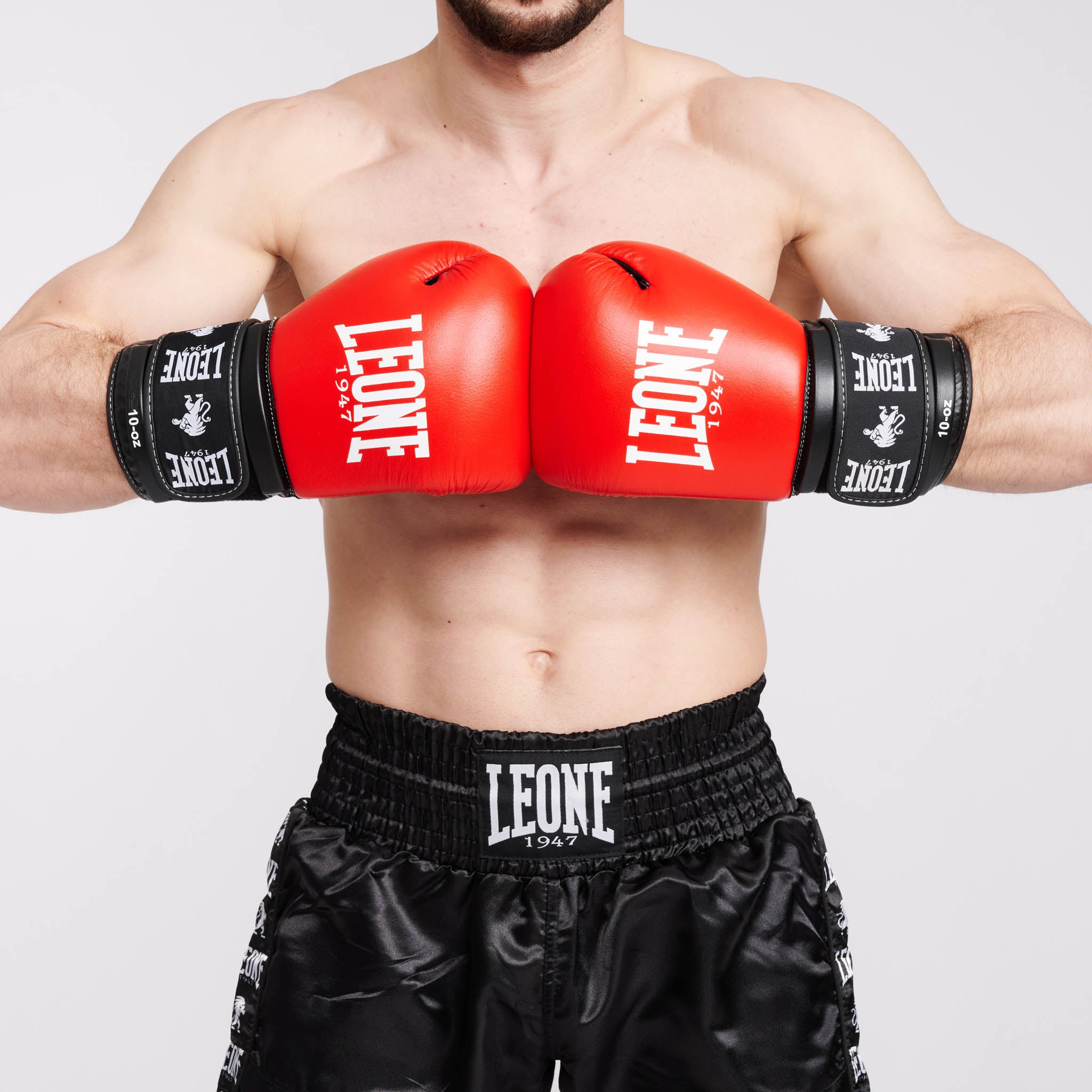 AMBASSADOR BOXING GLOVES