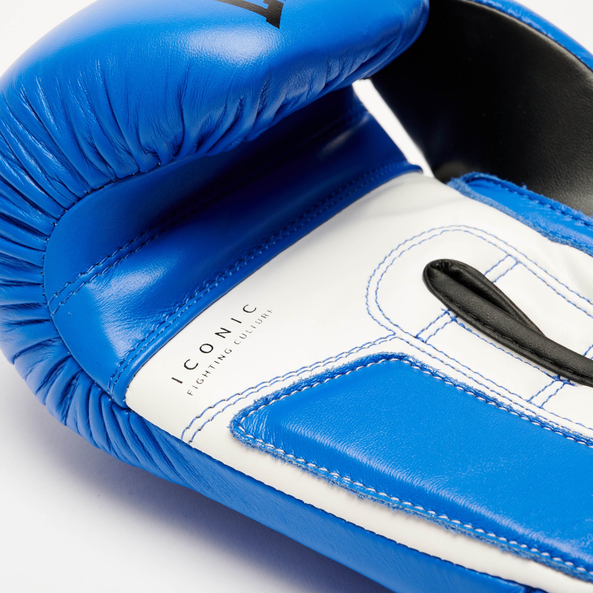 ICONIC BOXING GLOVES