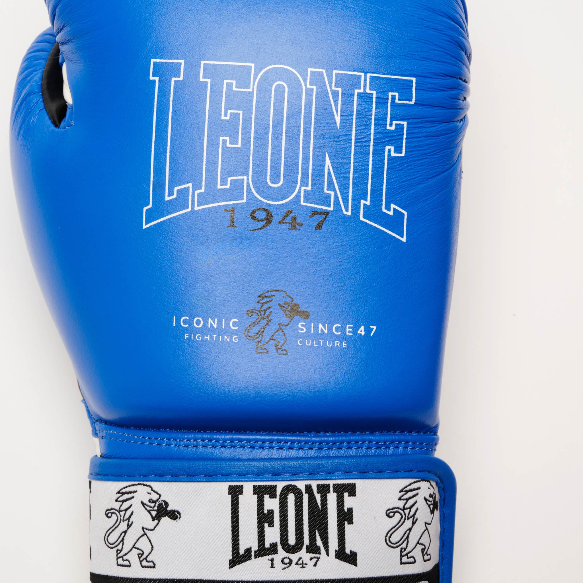 ICONIC BOXING GLOVES