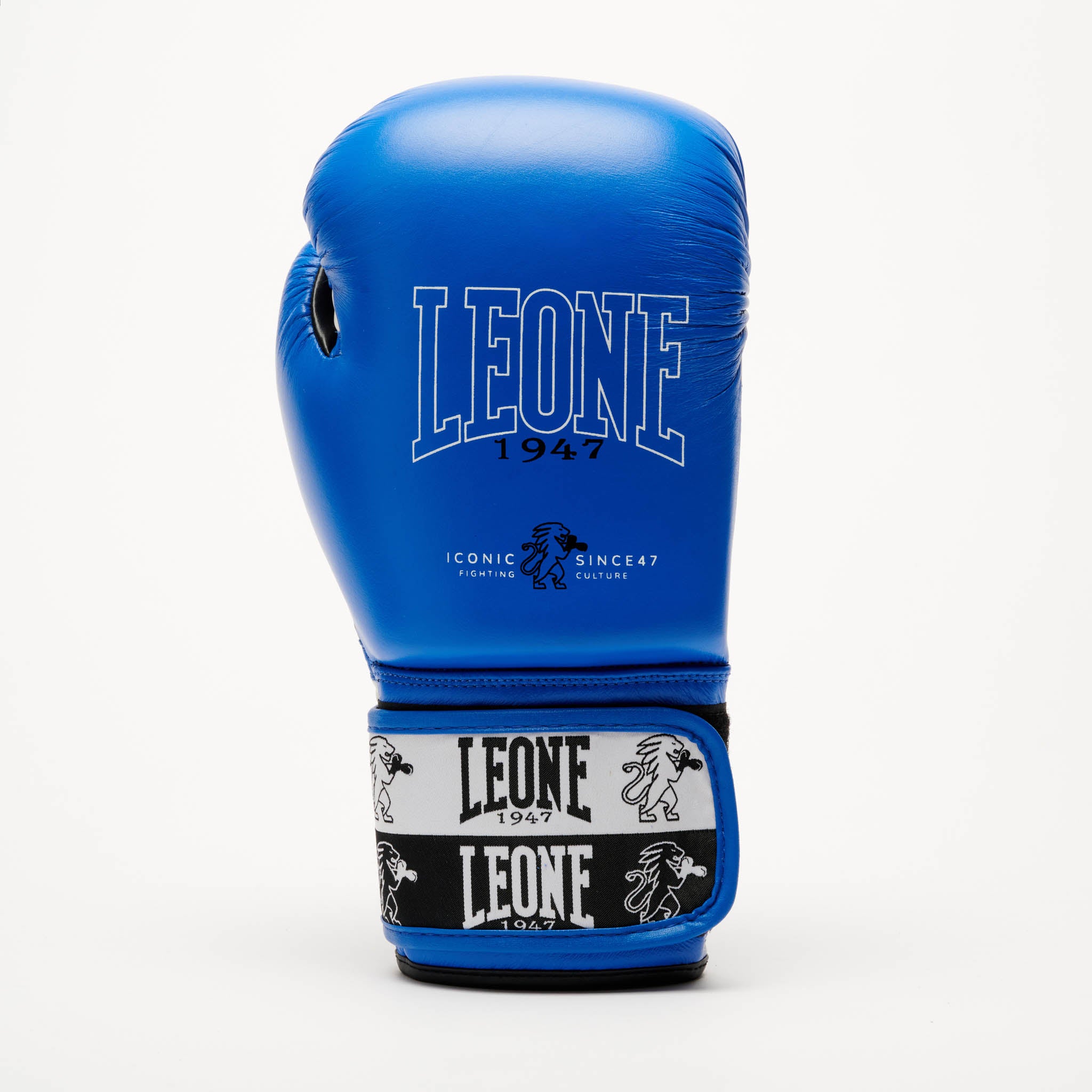 ICONIC BOXING GLOVES
