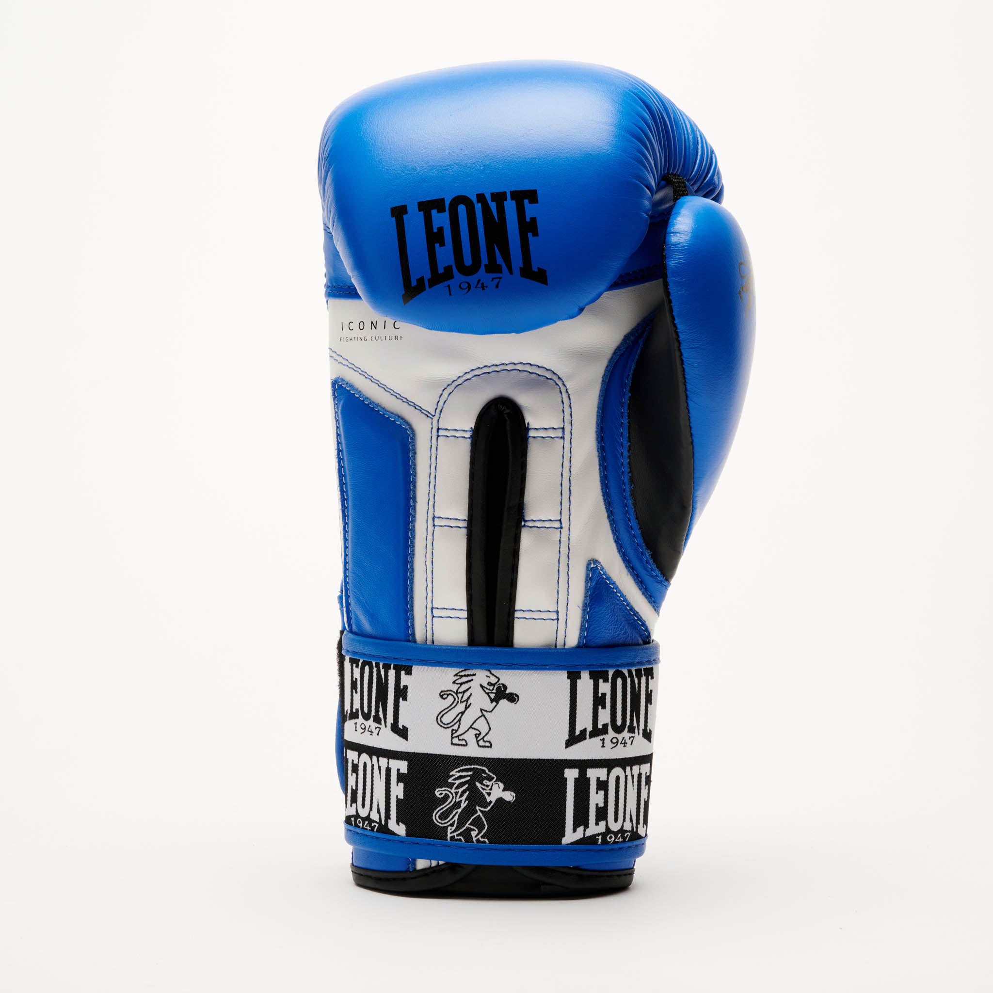 ICONIC BOXING GLOVES