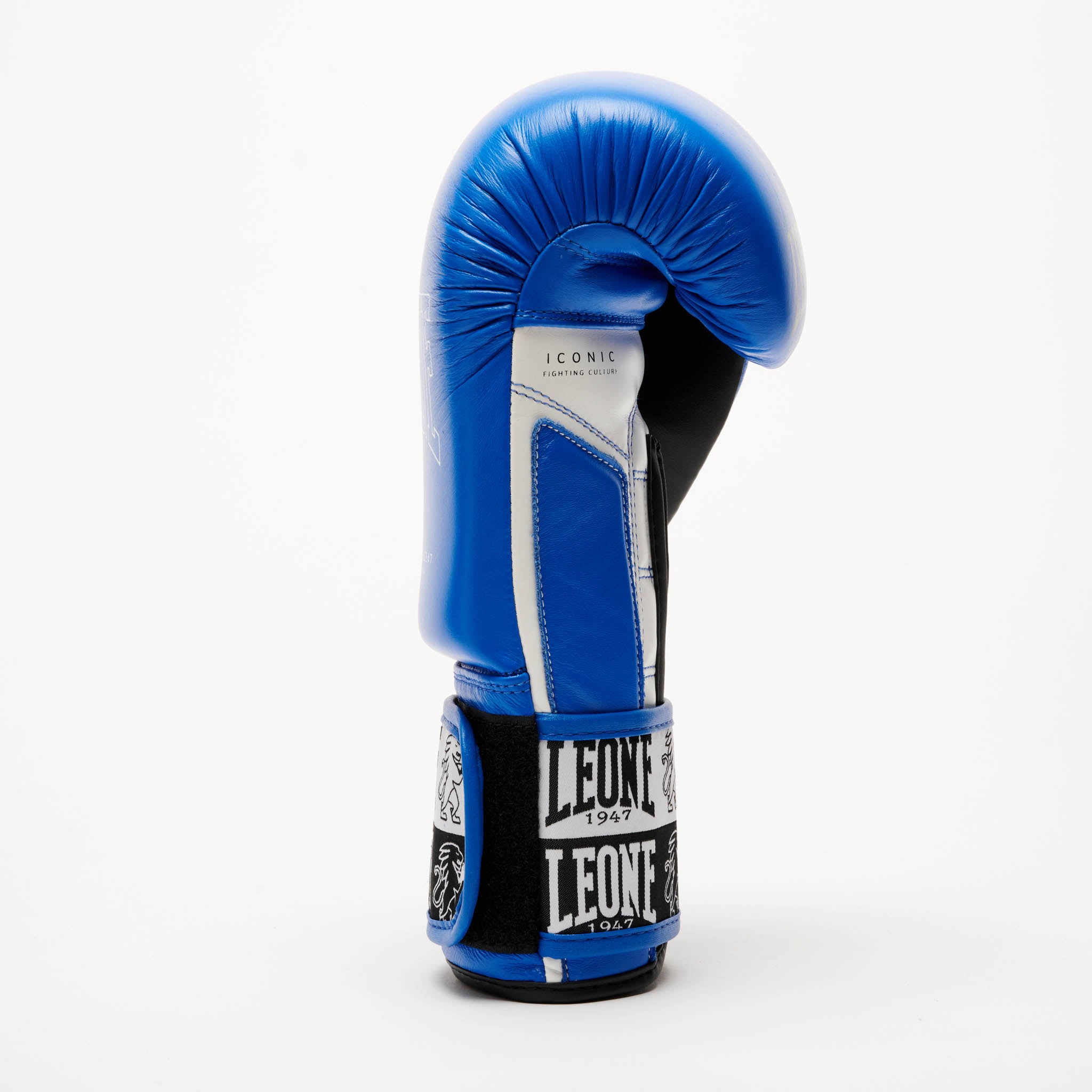 ICONIC BOXING GLOVES