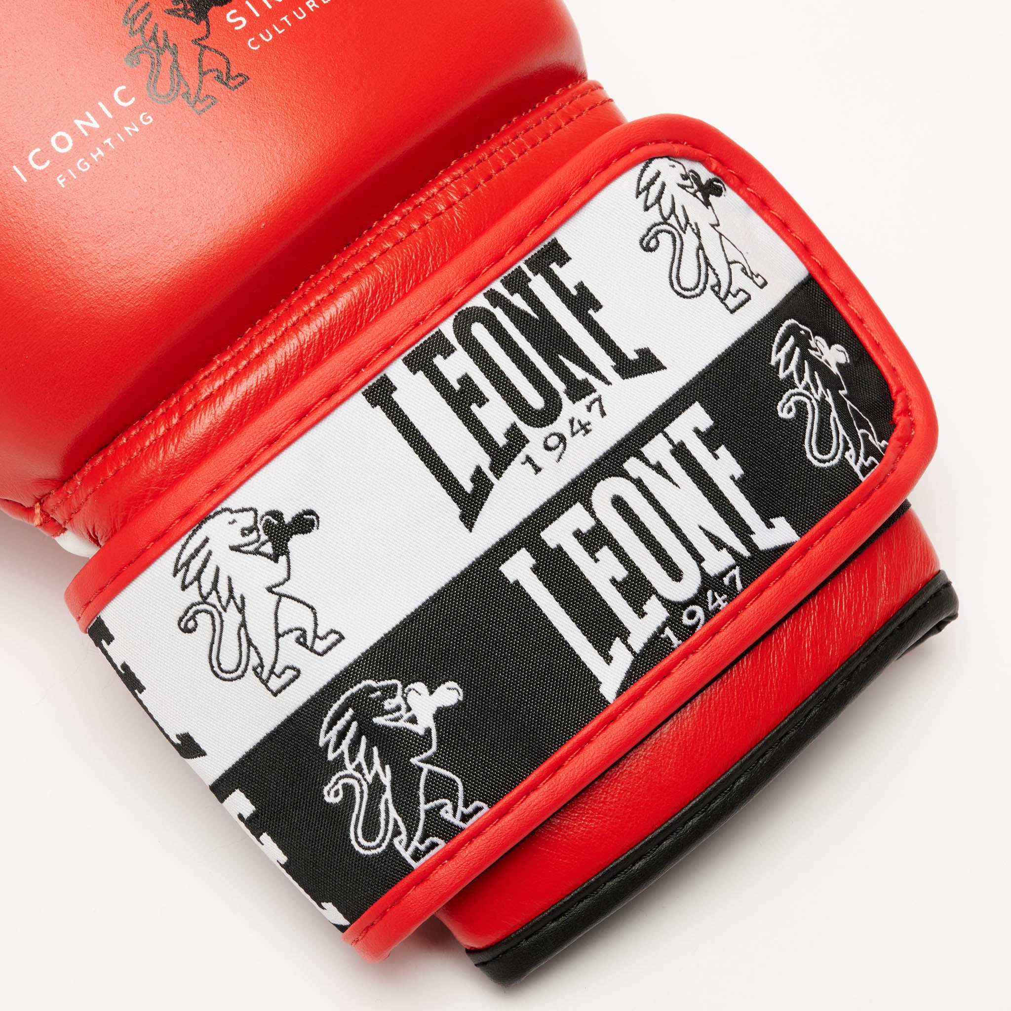 ICONIC BOXING GLOVES