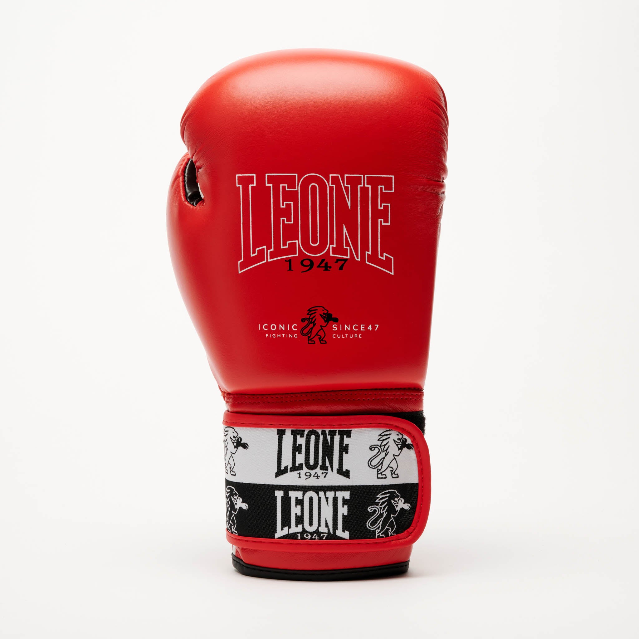 ICONIC BOXING GLOVES