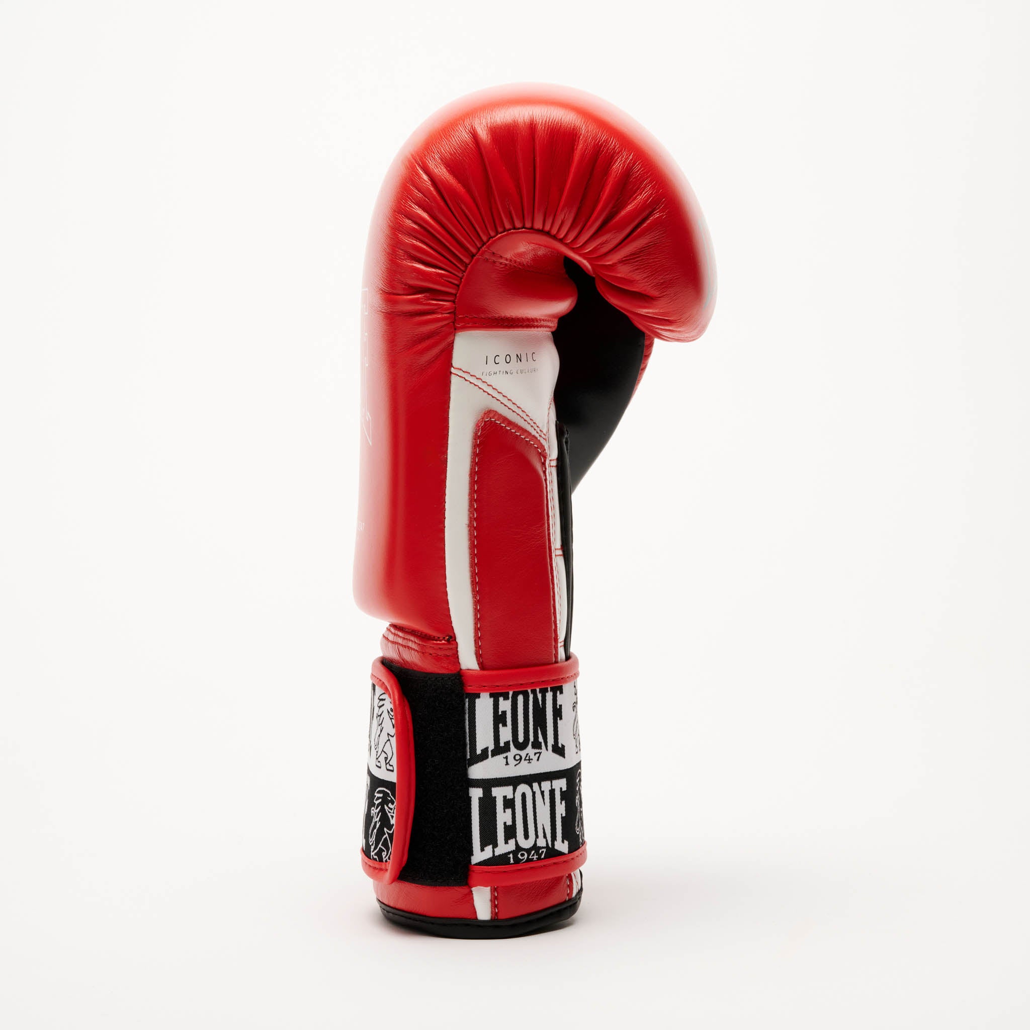 ICONIC BOXING GLOVES