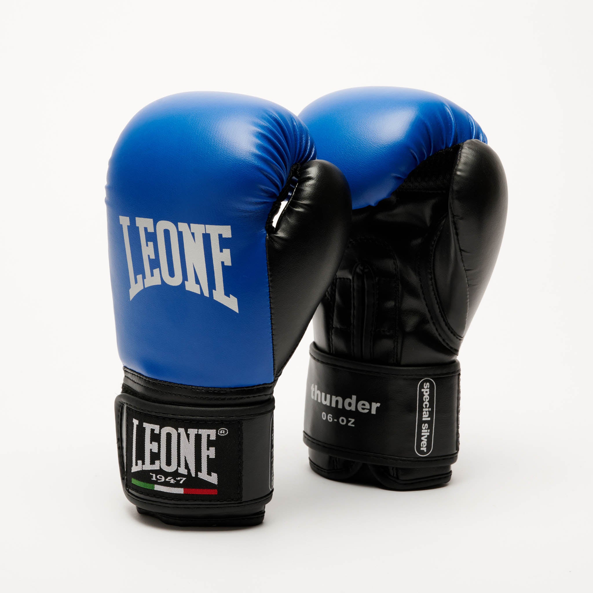 THUNDER BOXING GLOVES JR