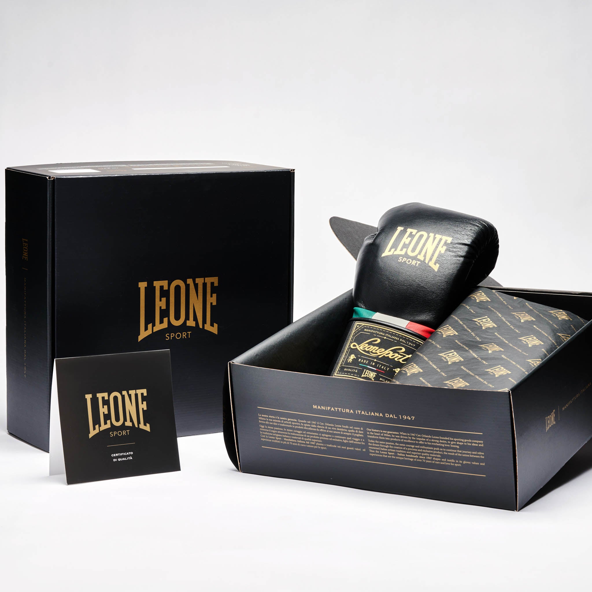 ORLANDO TRICOLORE BOXING GLOVES VELCRO