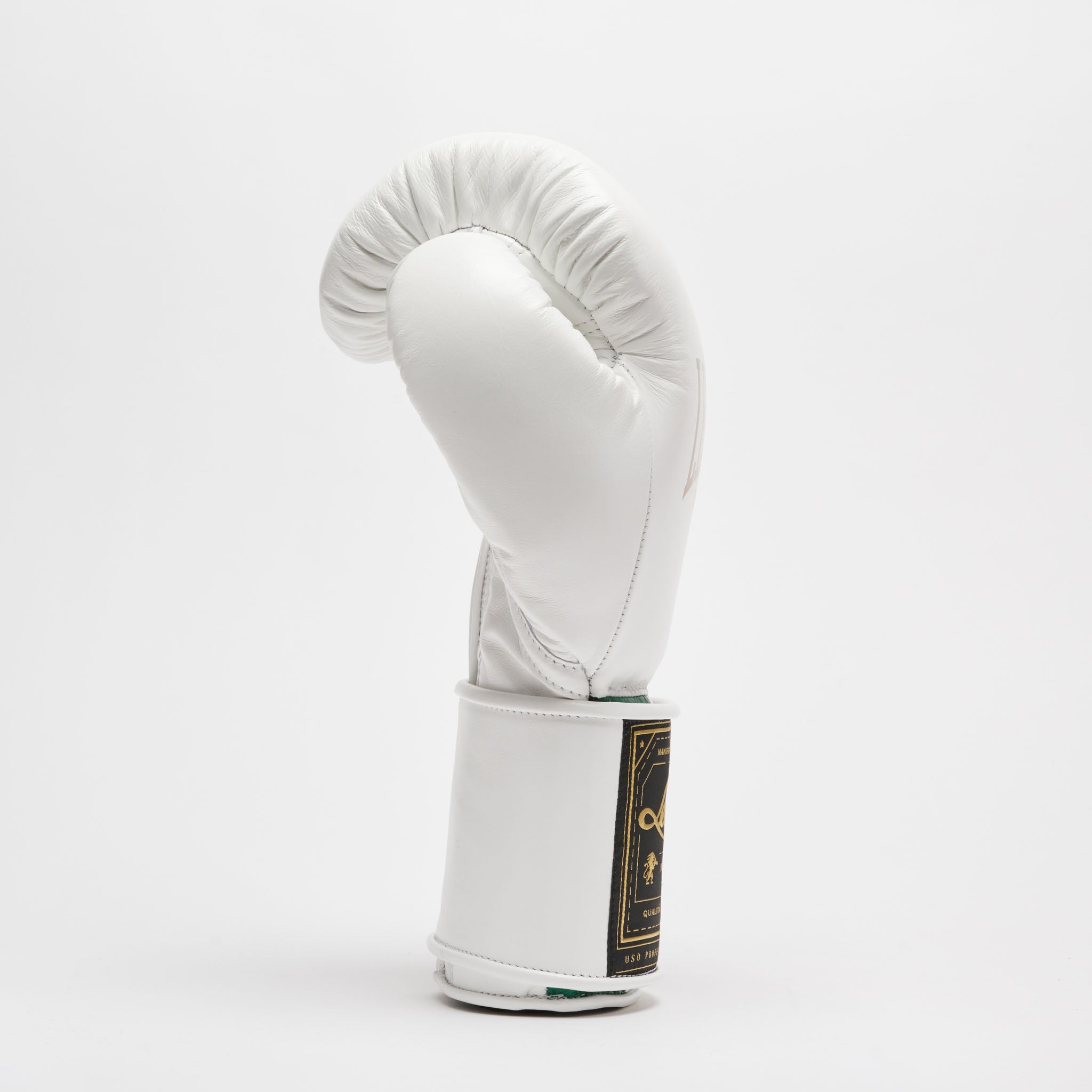 ORLANDO TRICOLORE BOXING GLOVES VELCRO