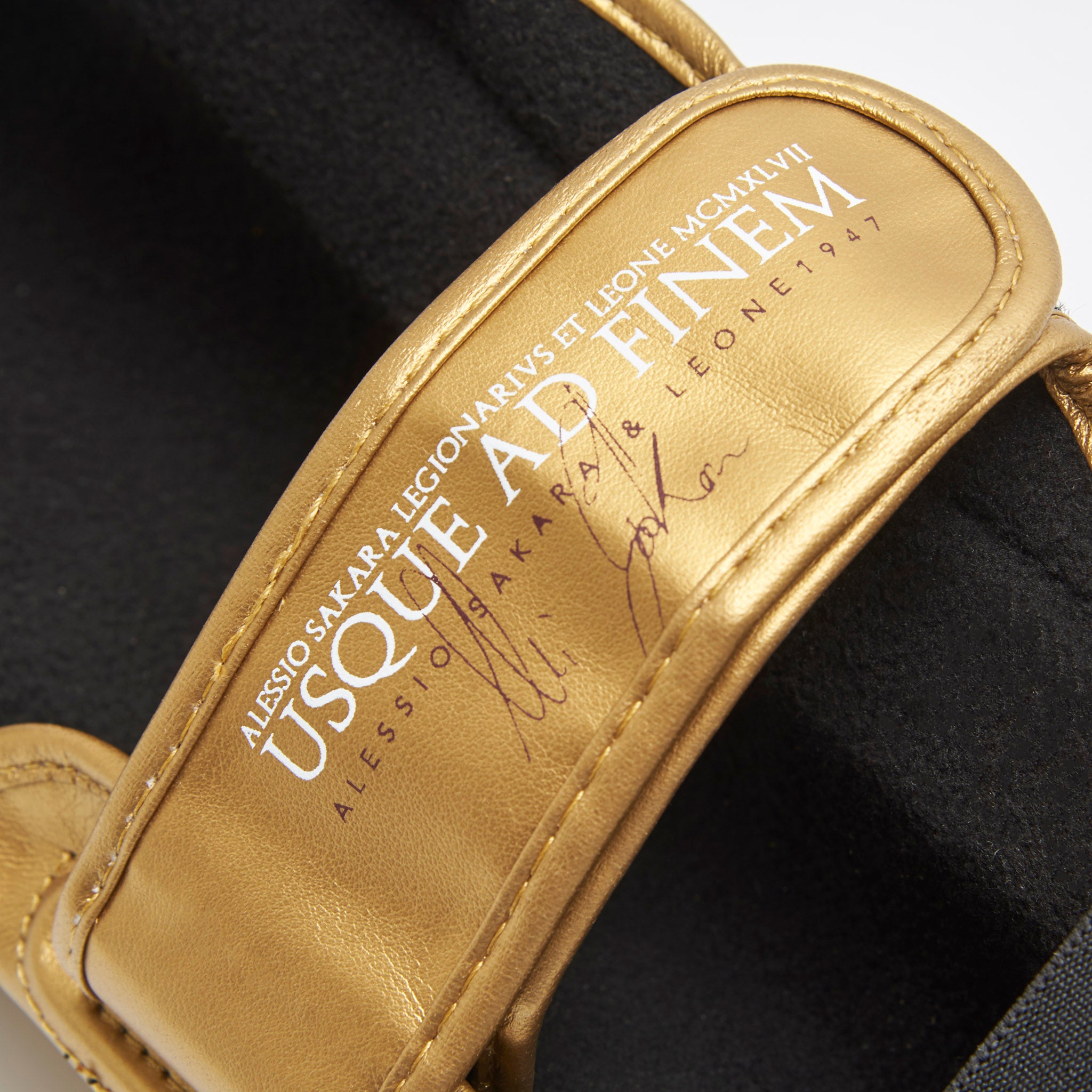 LEGIONARIVS SHINGUARDS