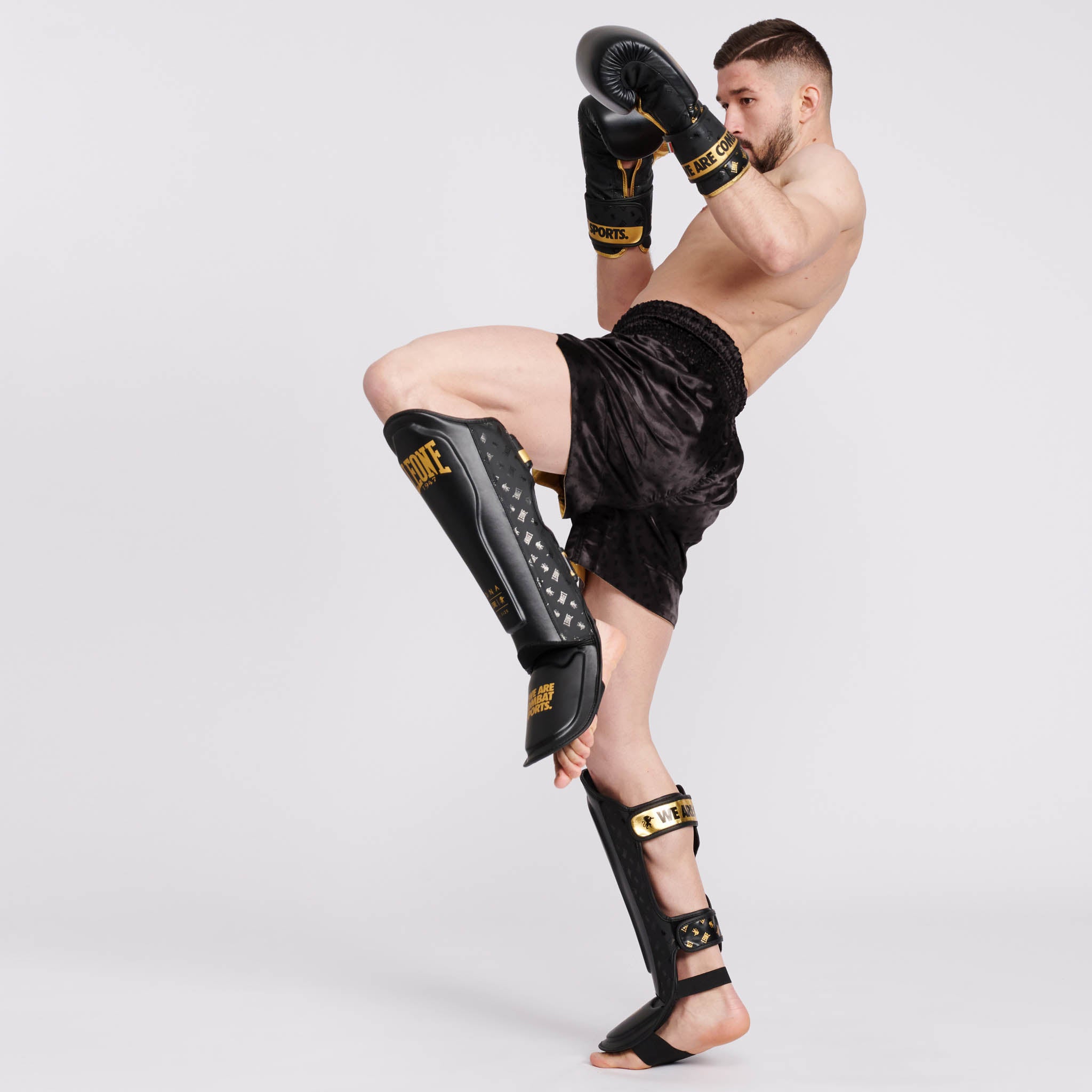 SHINGUARDS DNA