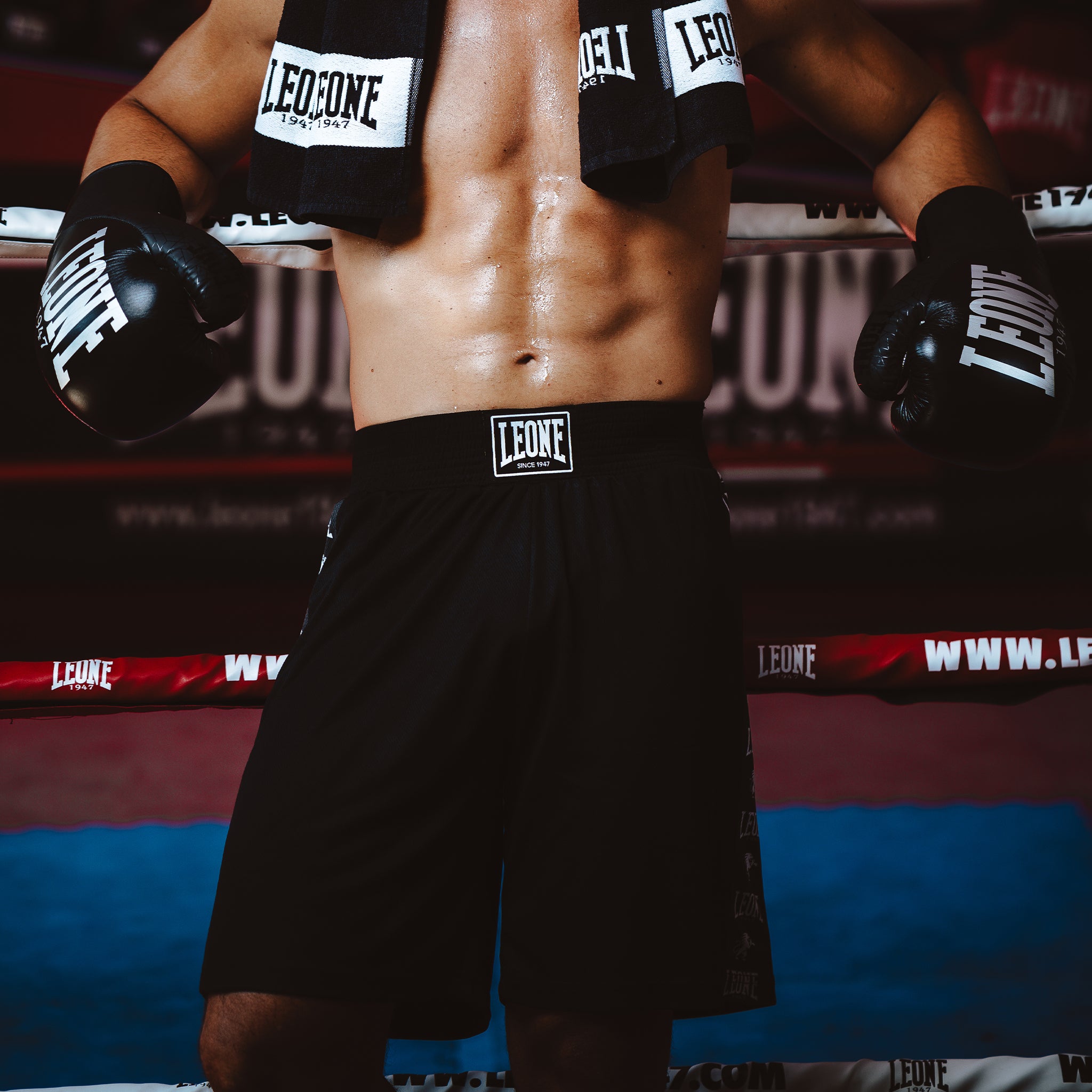 AMBASSADOR BOXING SHORTS