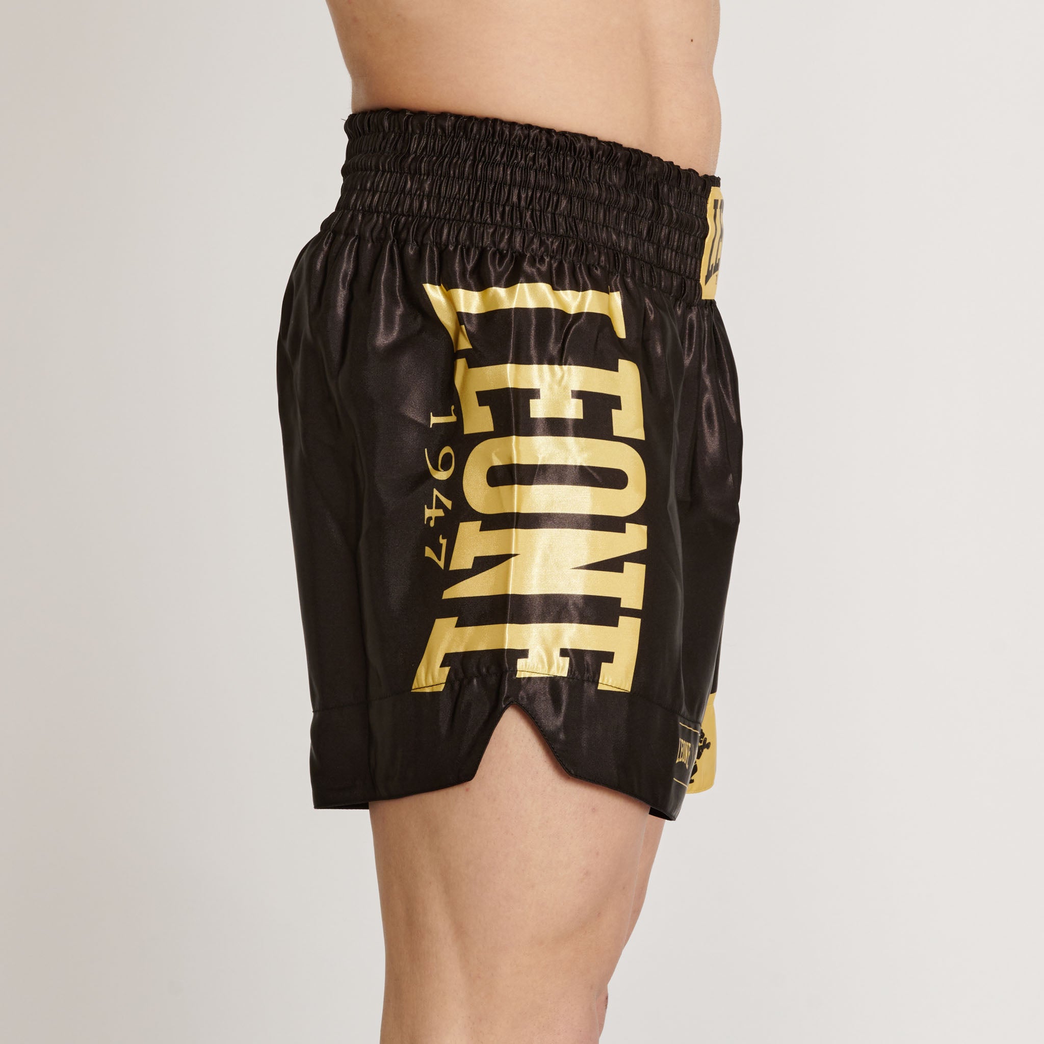 KICK-THAI SHORTS DNA