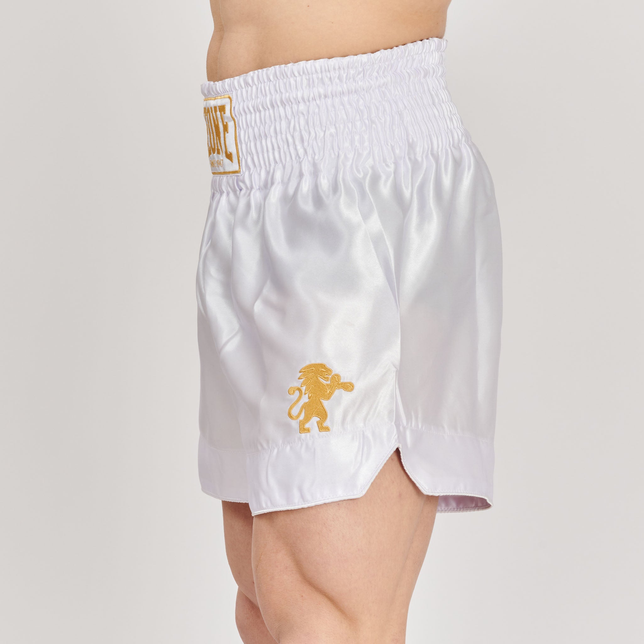 BASIC 2 KICK SHORTS