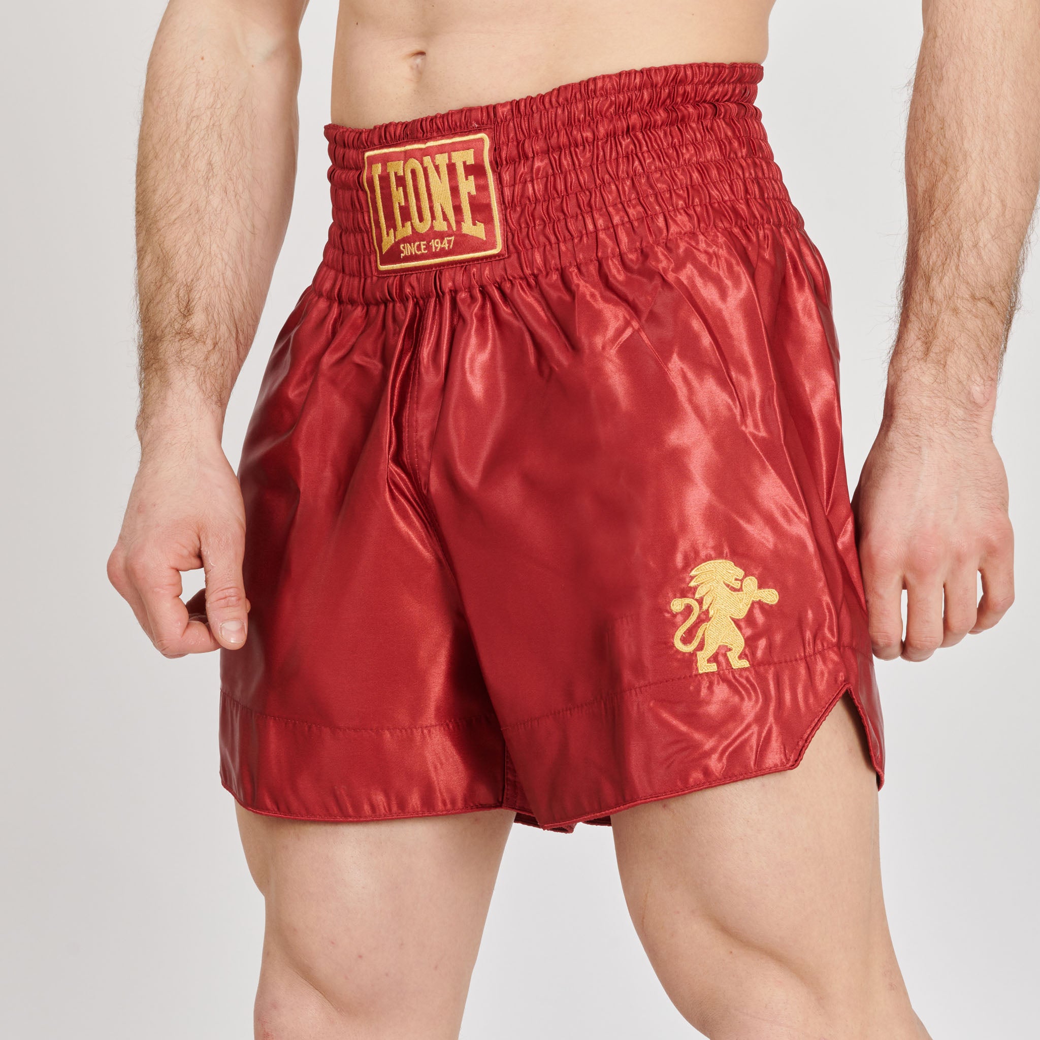 BASIC 2 KICK SHORTS