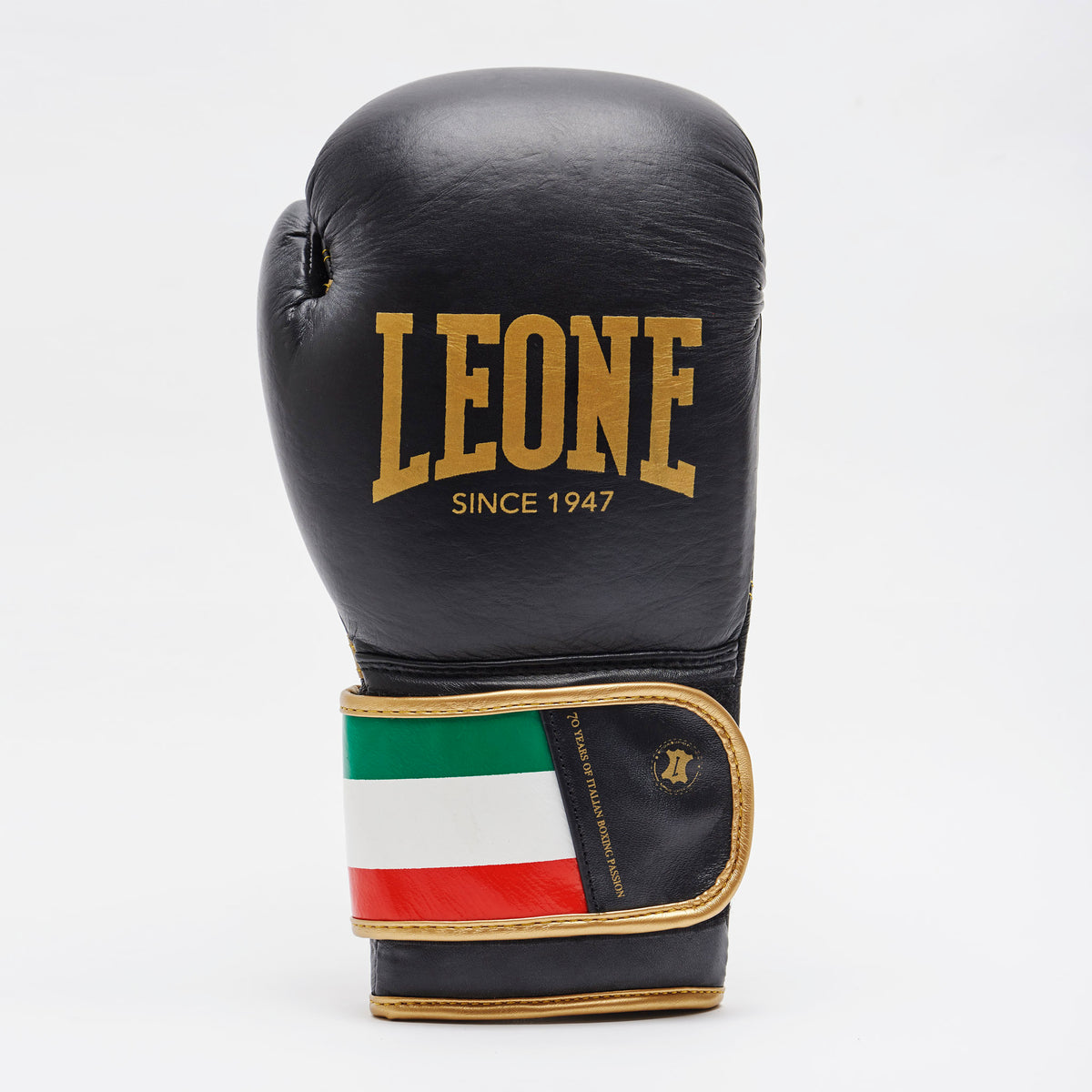 Leone 1947 GN039 Italy 47 boxing gloves view 1