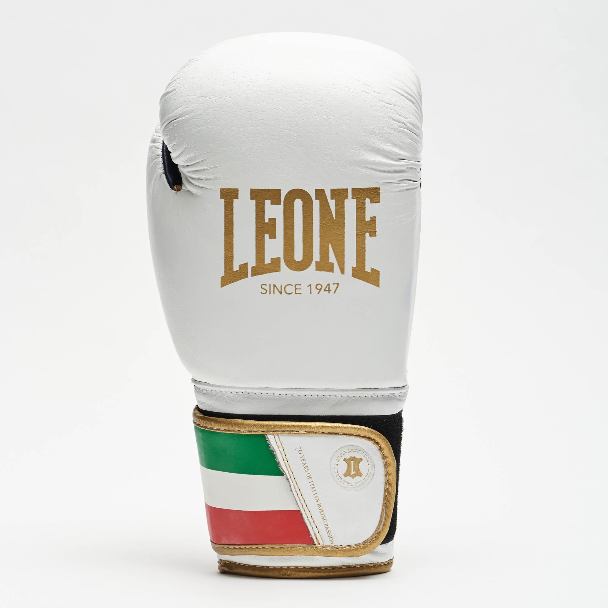 ITALY 47 BOXING GLOVES