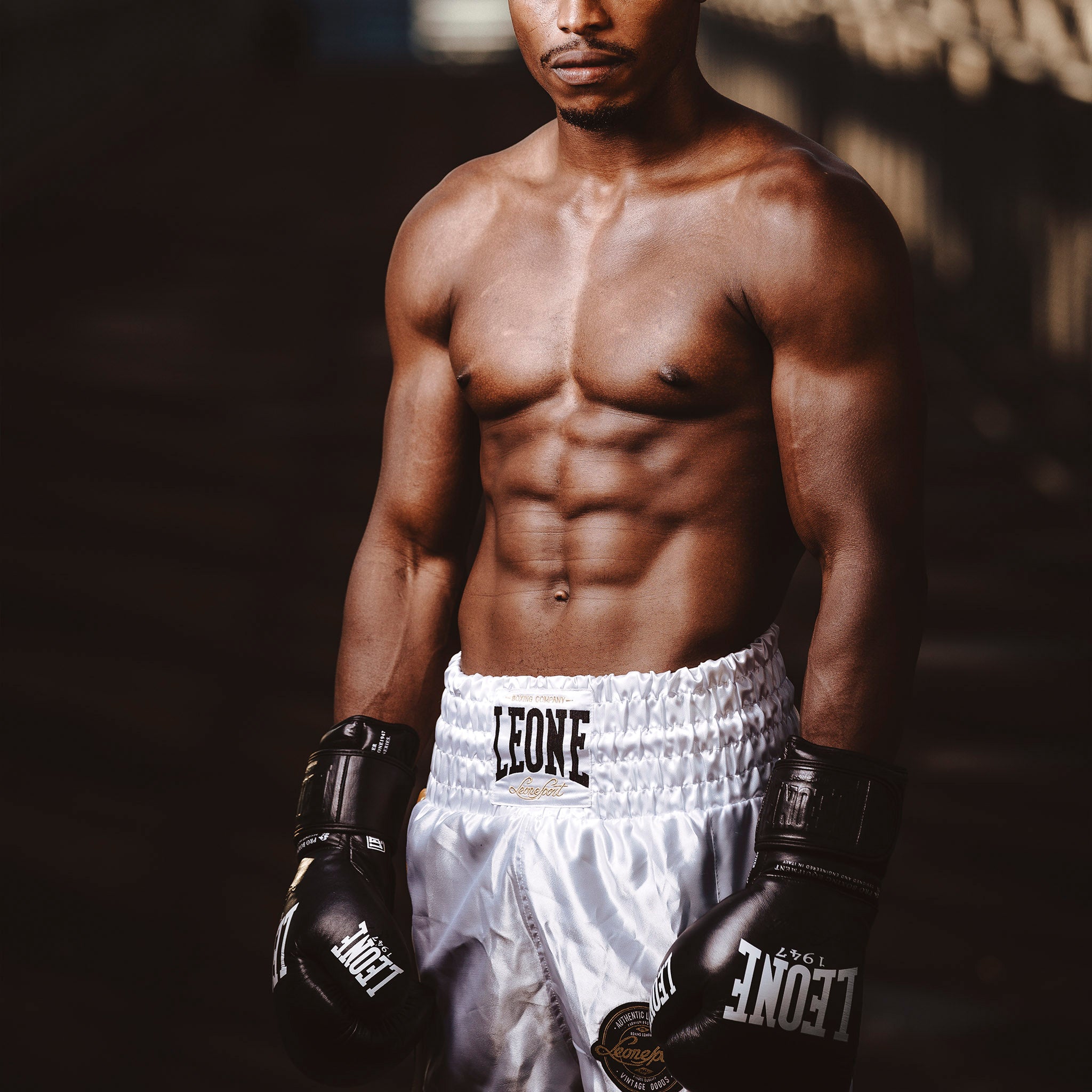THE GREATEST BOXING GLOVES