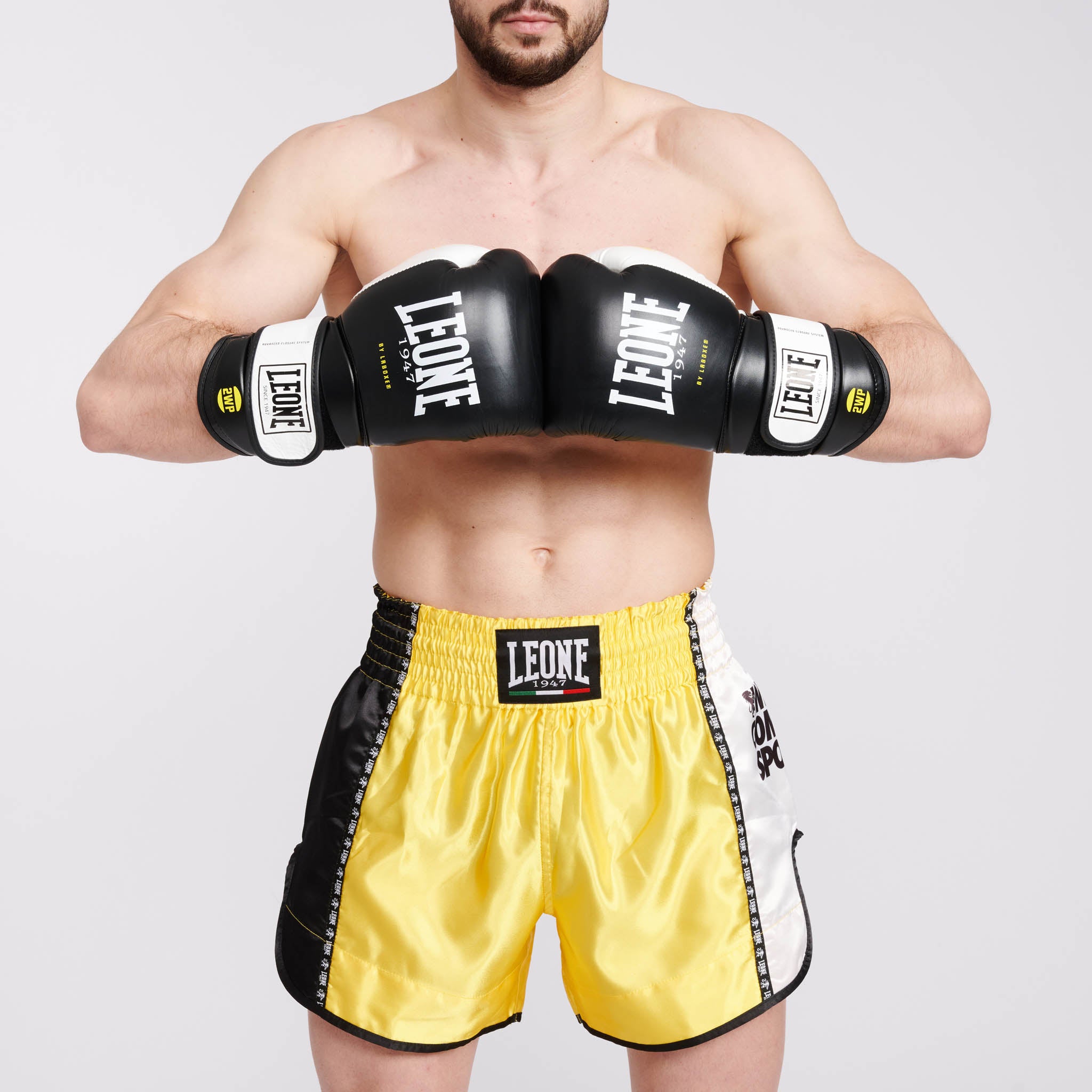 BOXING GLOVES IL TECNICO N3