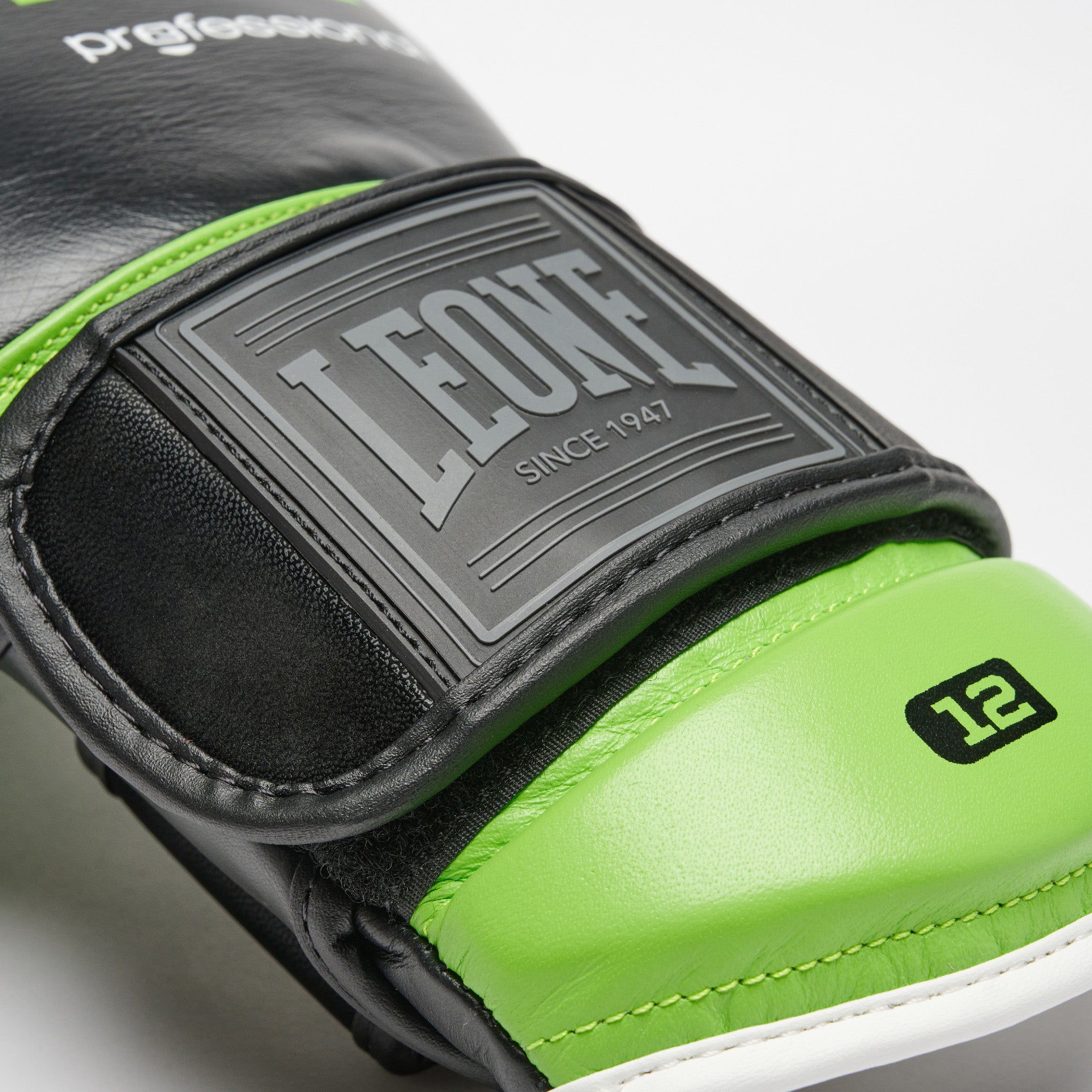 PROFESSIONAL 2 BOXING GLOVES