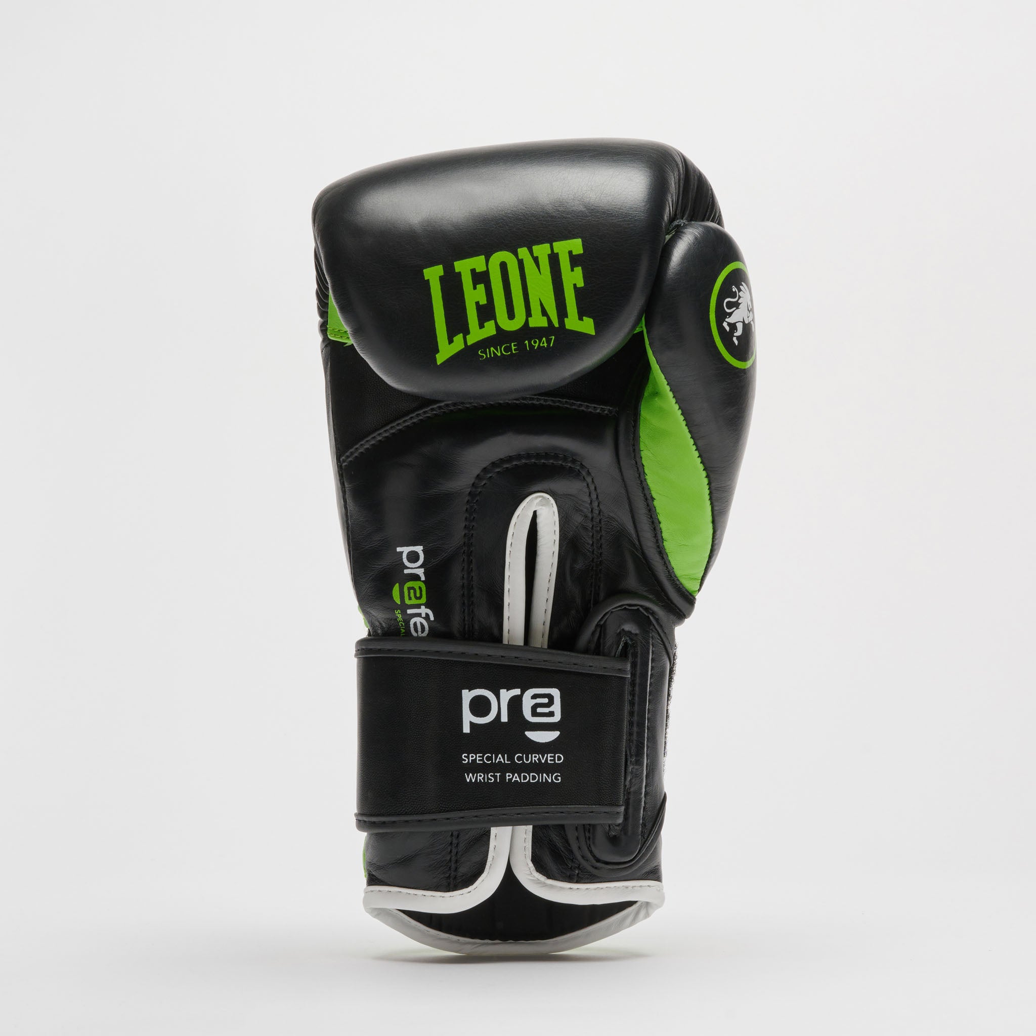 PROFESSIONAL 2 BOXING GLOVES